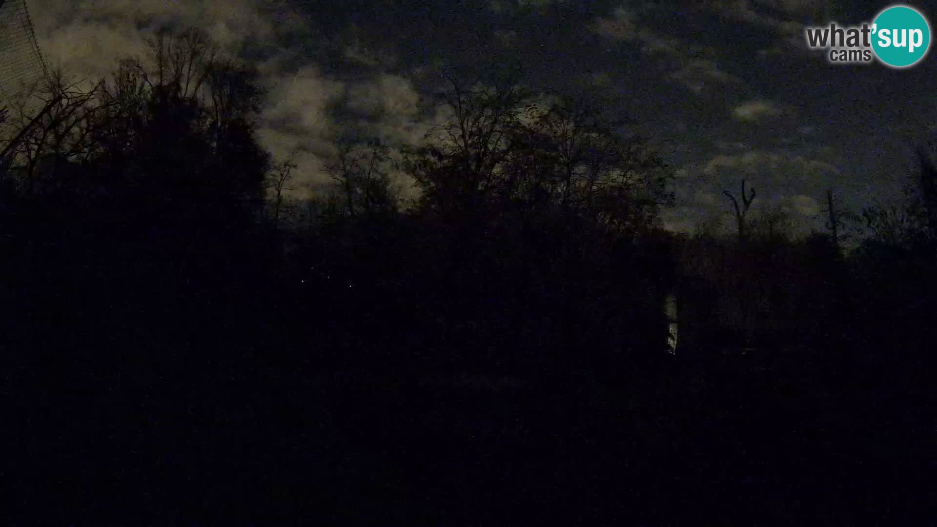 Zoo Zagreb – Leones