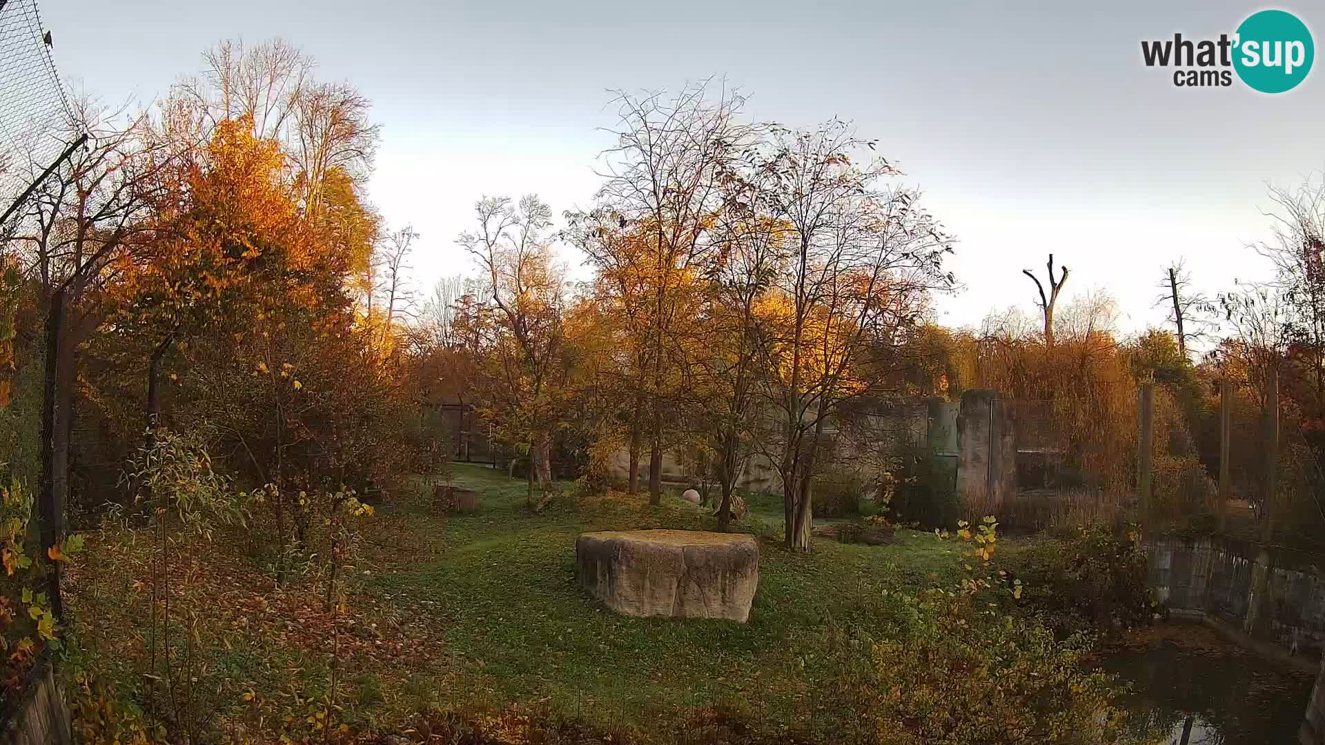 Zoo Zagreb – Löwen