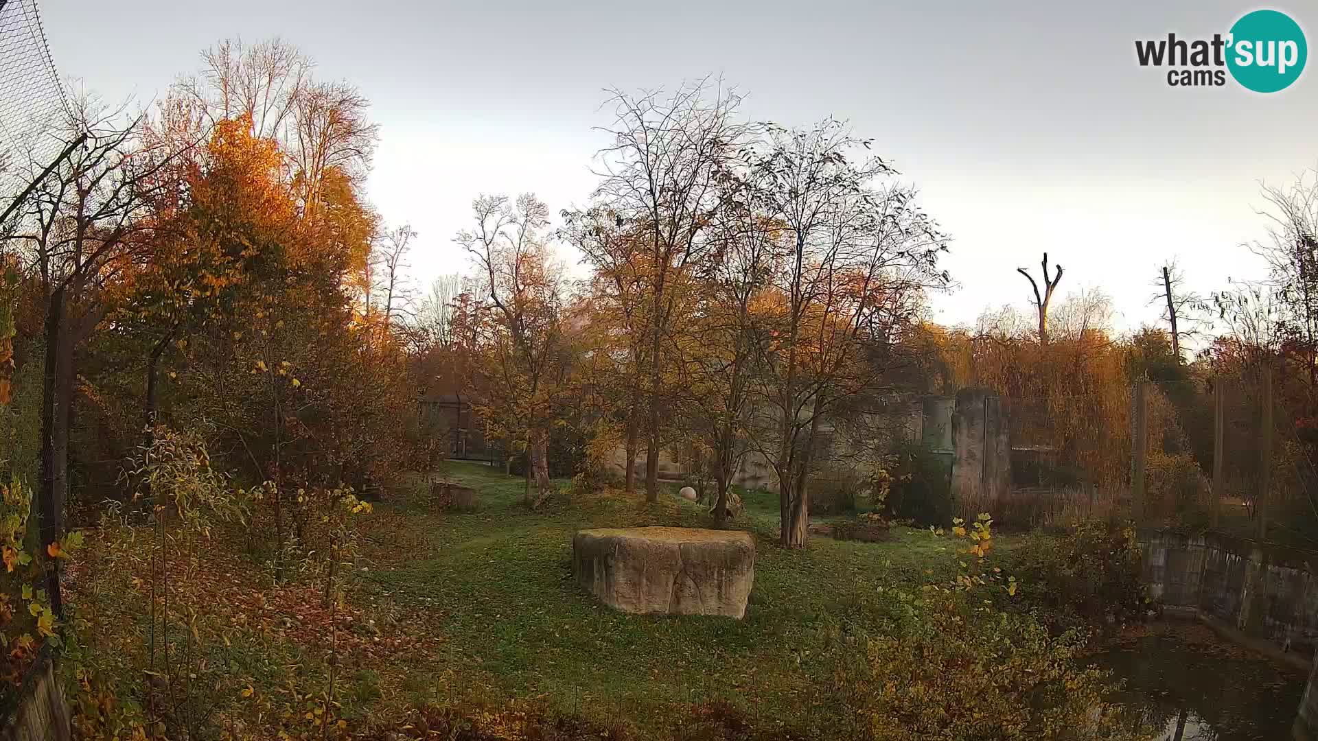 Zoo Zagreb – Leones