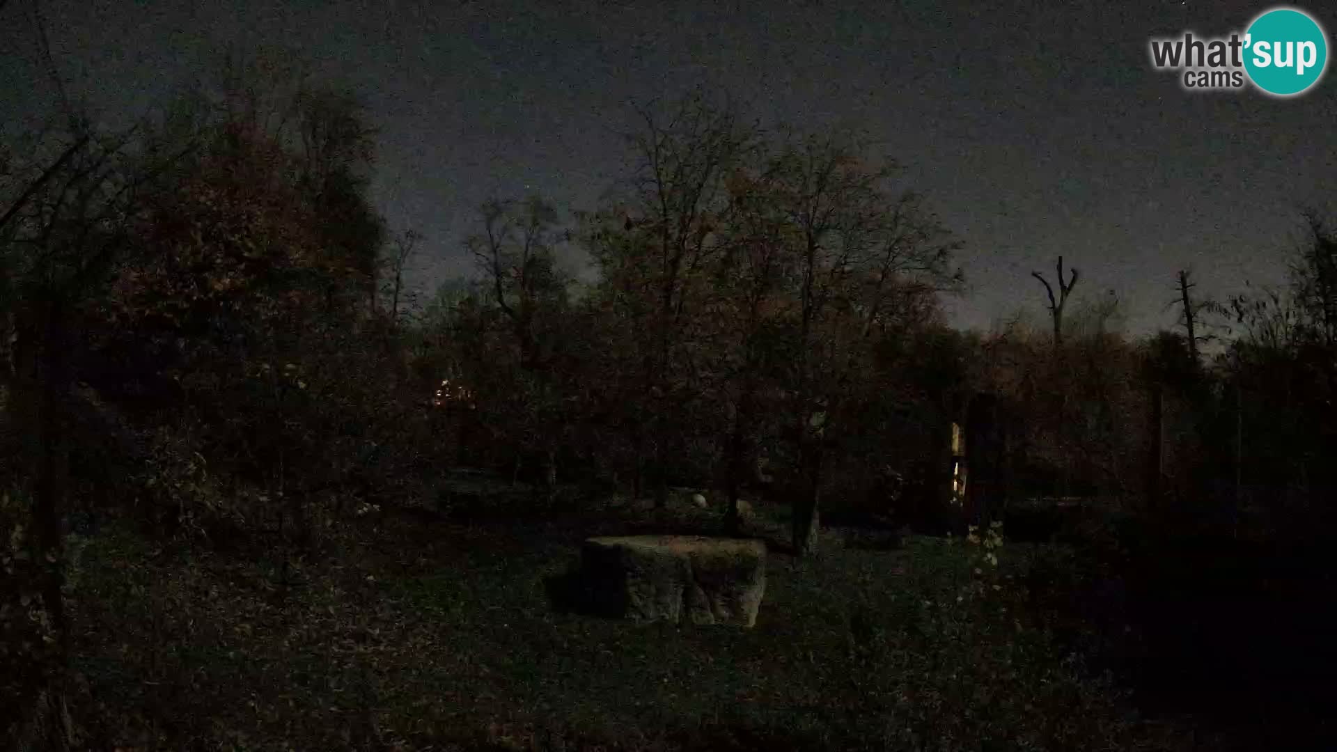 Zoo Zagreb – Leones