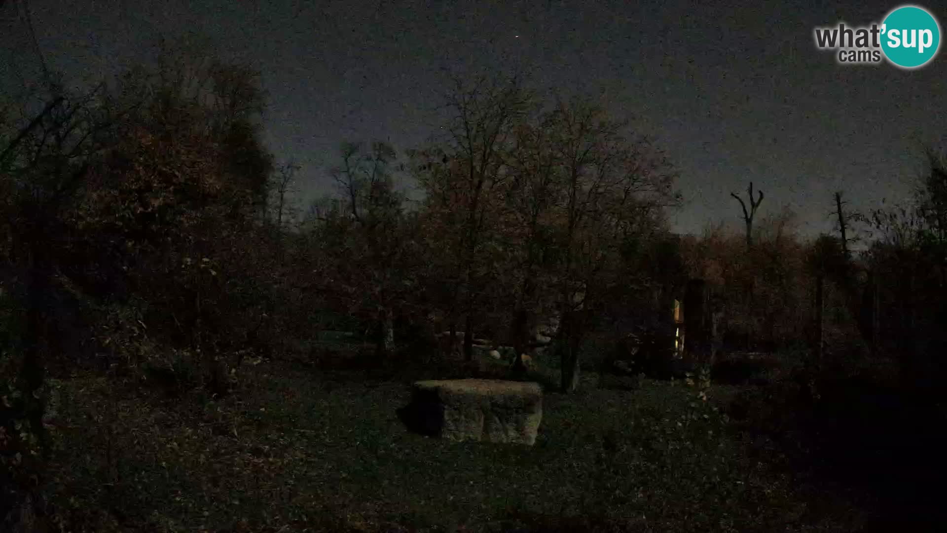 Zoo Zagreb – Leones