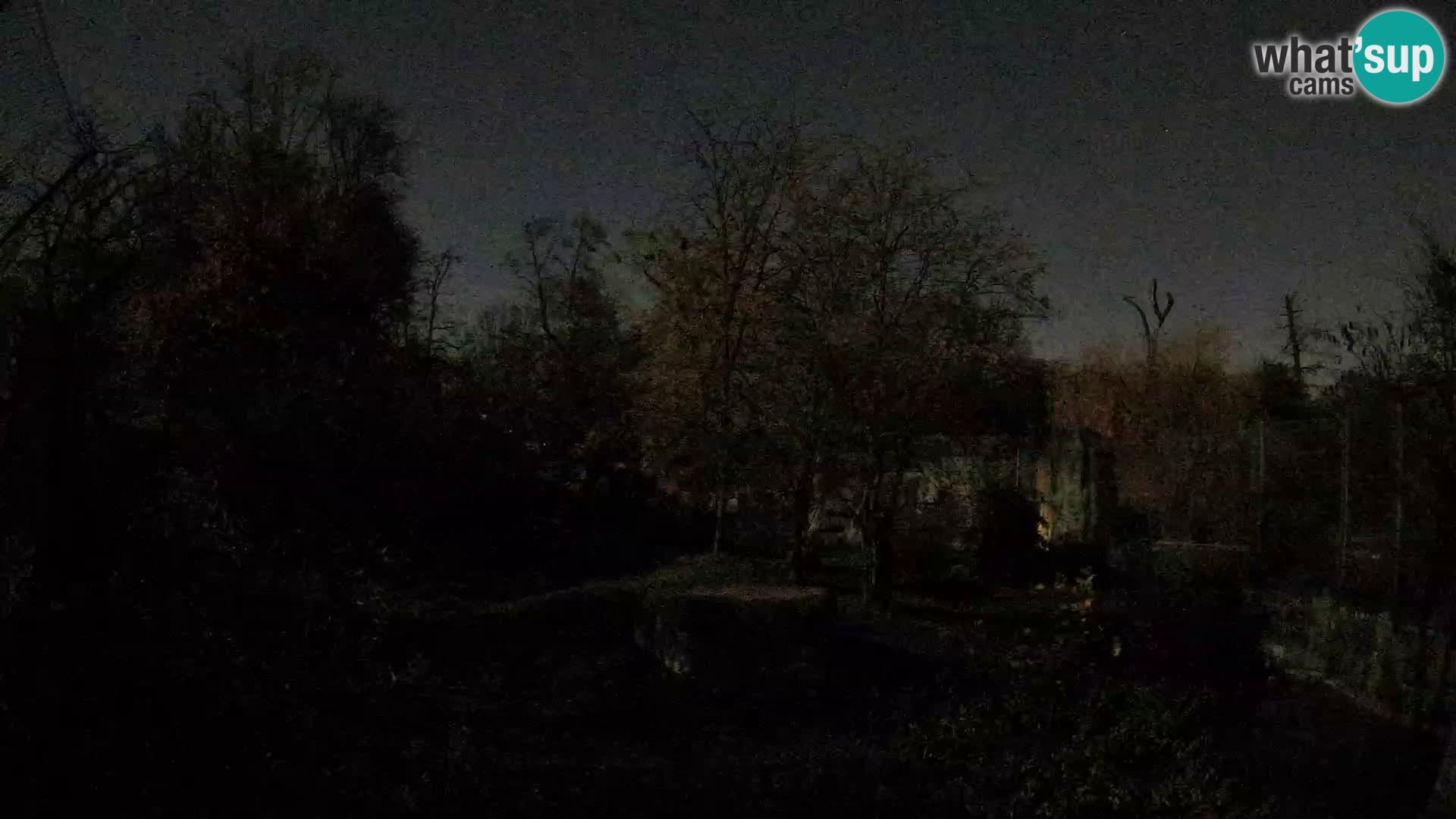 Zoo Zagreb – Leones