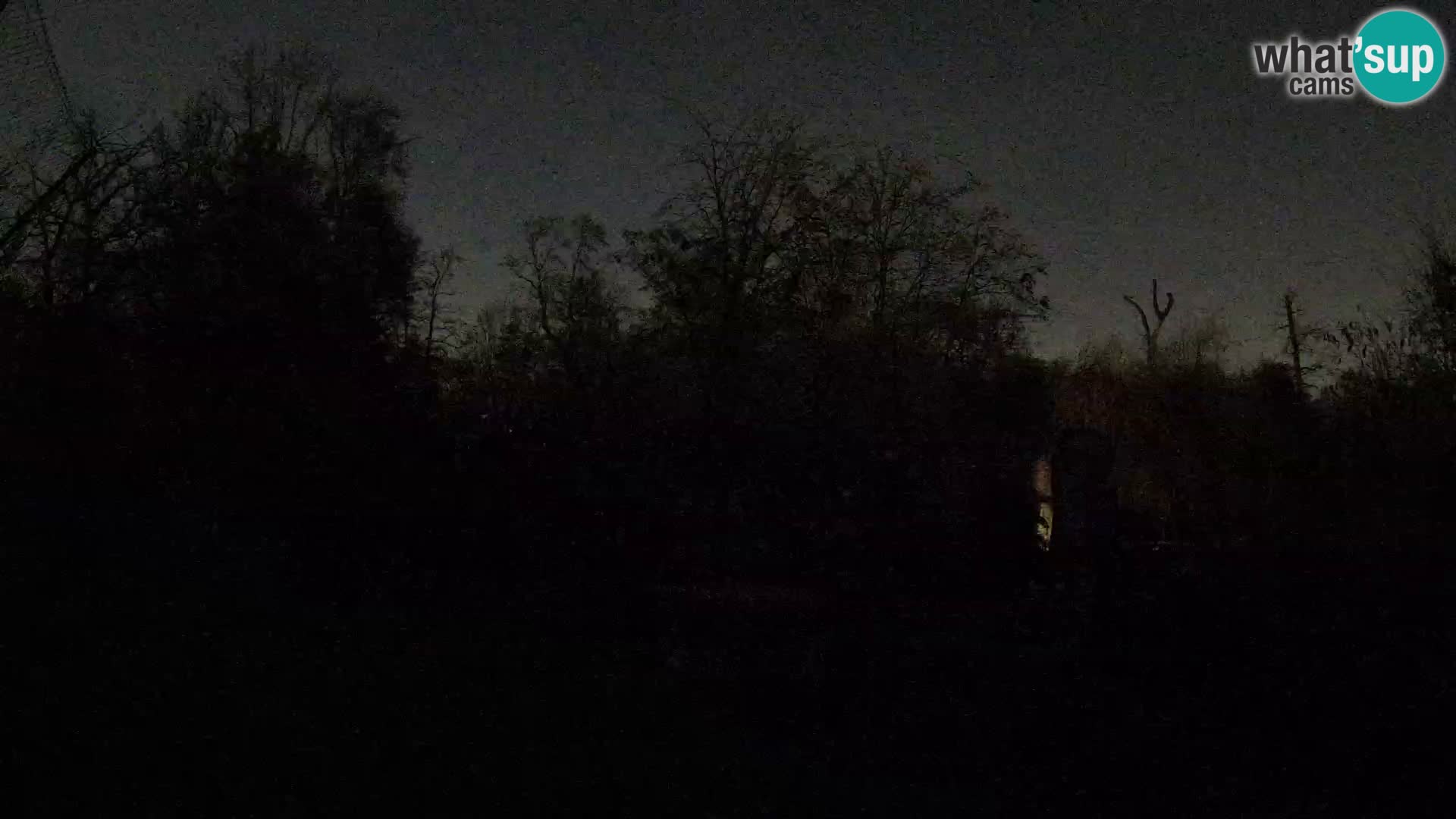 Zoo Zagreb – Leones