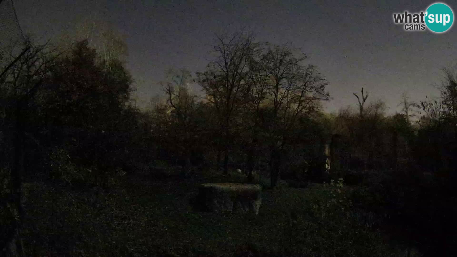 Zoo Zagreb – Leoni