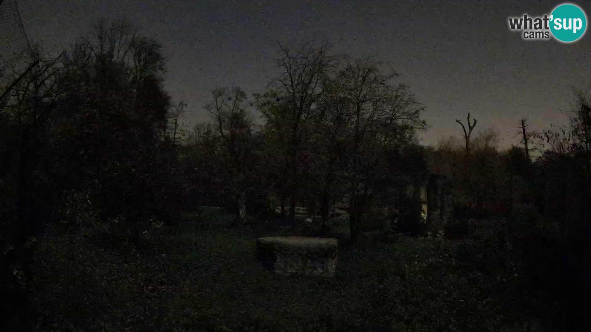 Zoo Zagreb – Leones