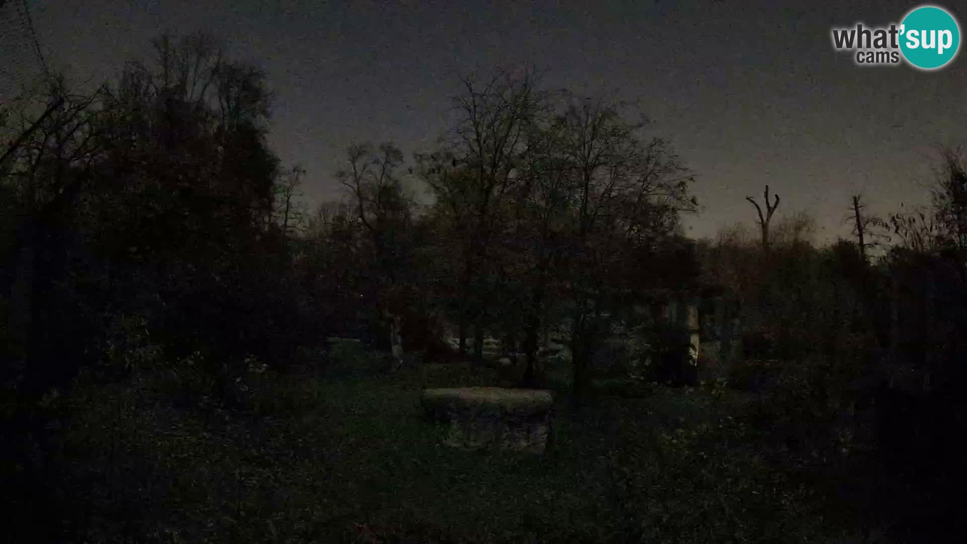 Zoo Zagreb – Leones