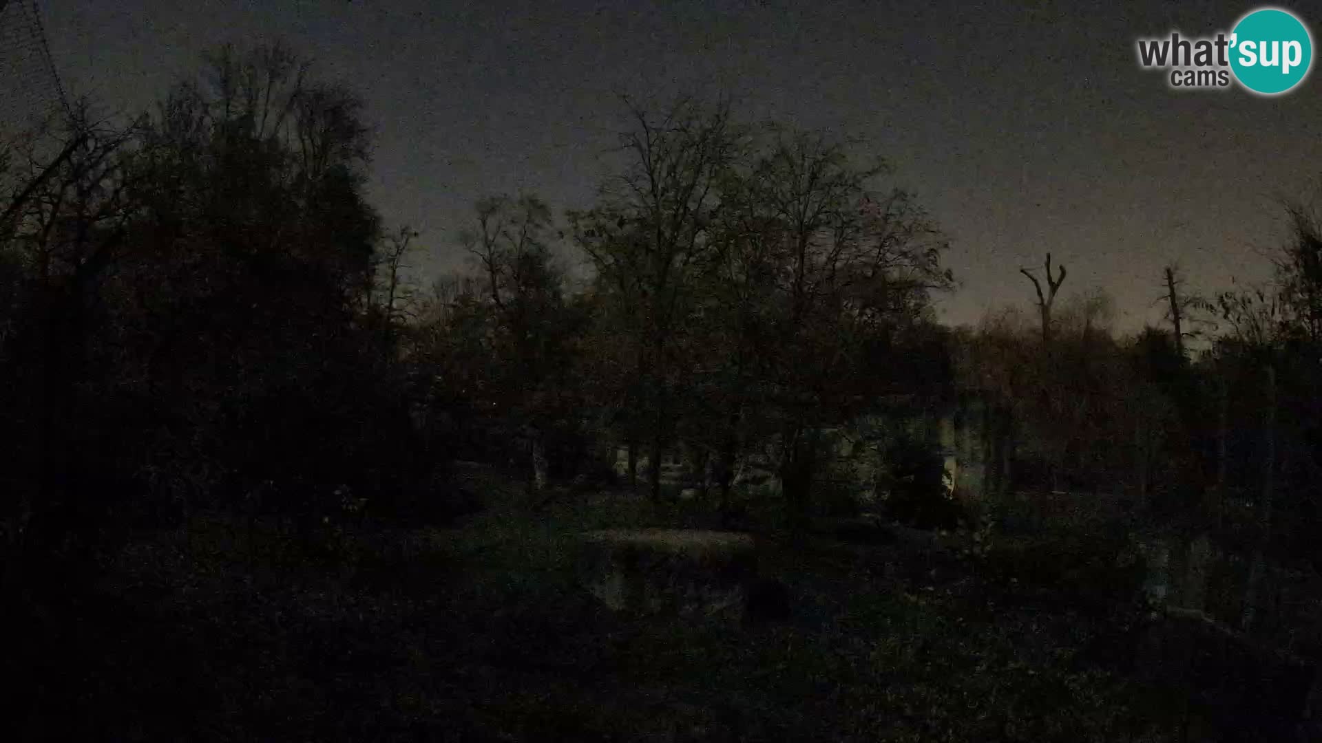 Zoo Zagreb – Leones