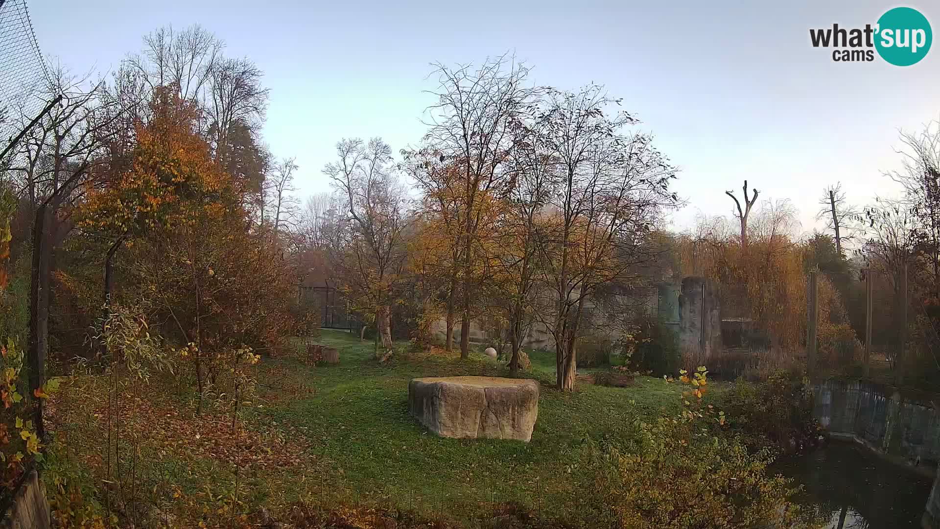 Zoo Zagreb – Lavovi