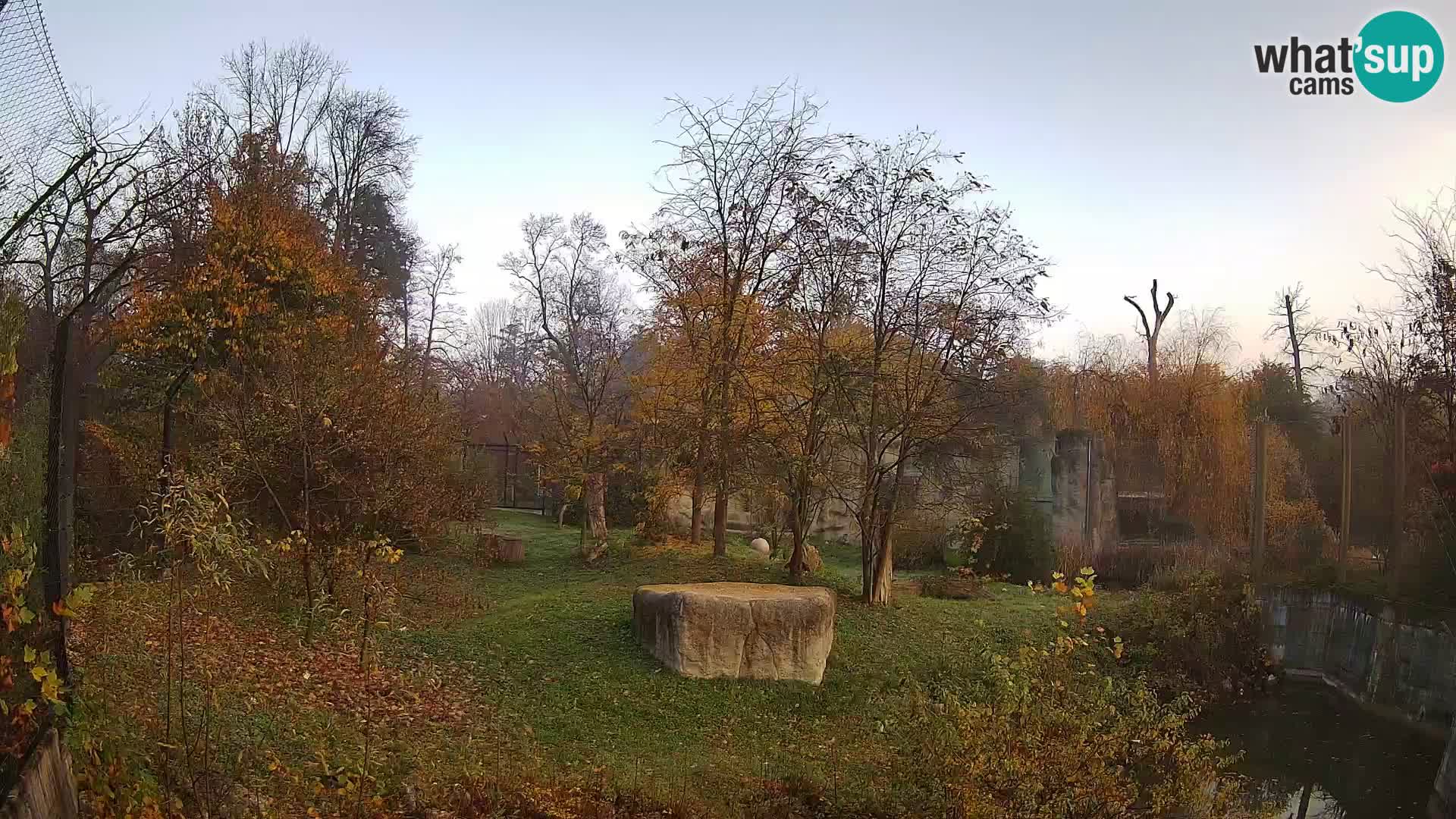 Zoo Zagreb – Lavovi