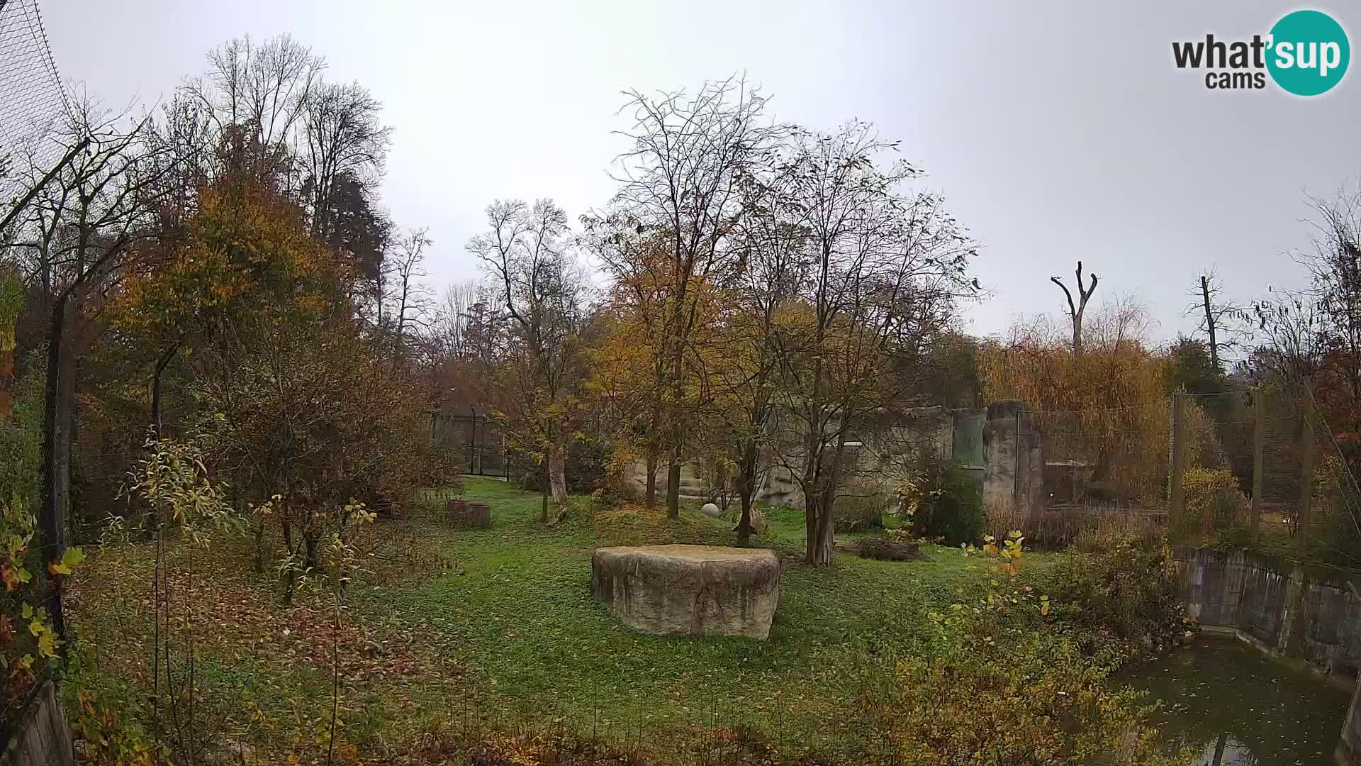 Zoo Zagreb – Leoni