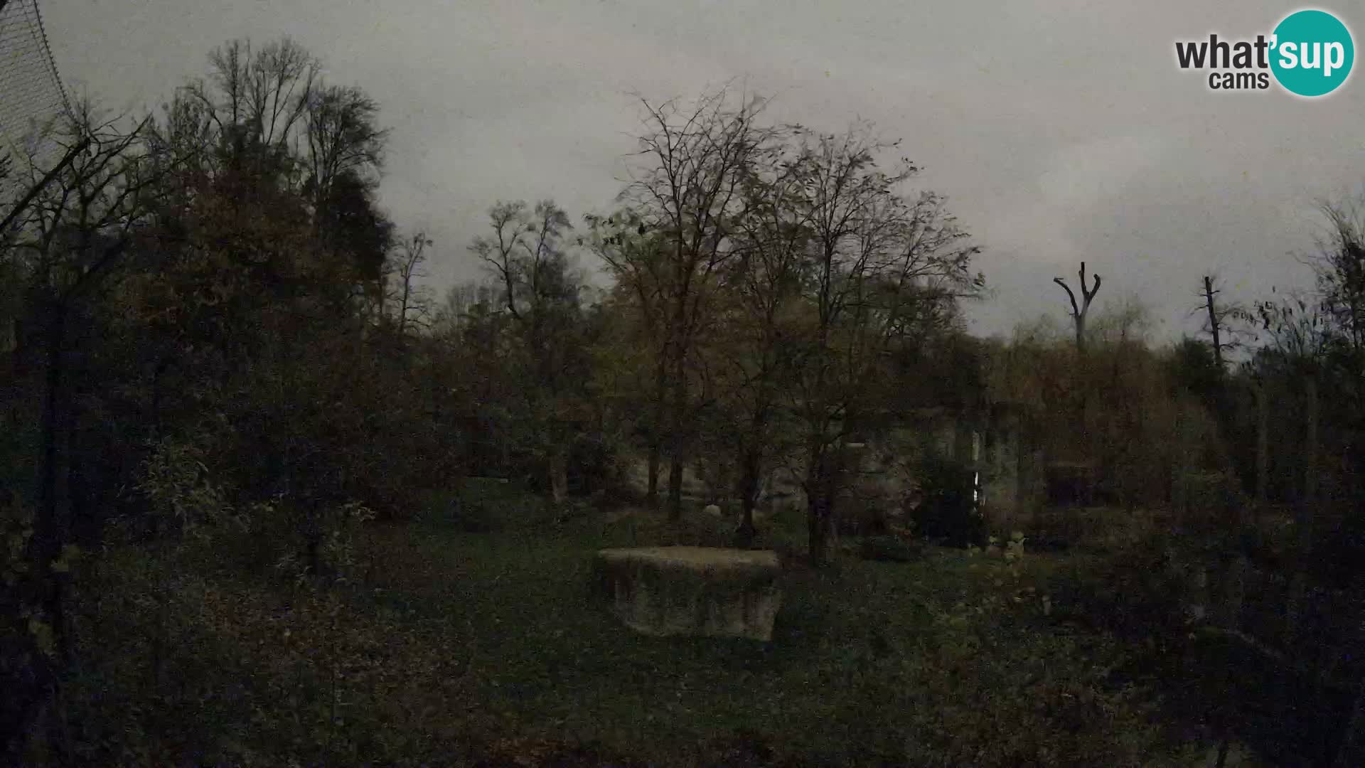 Zoo Zagreb – Löwen