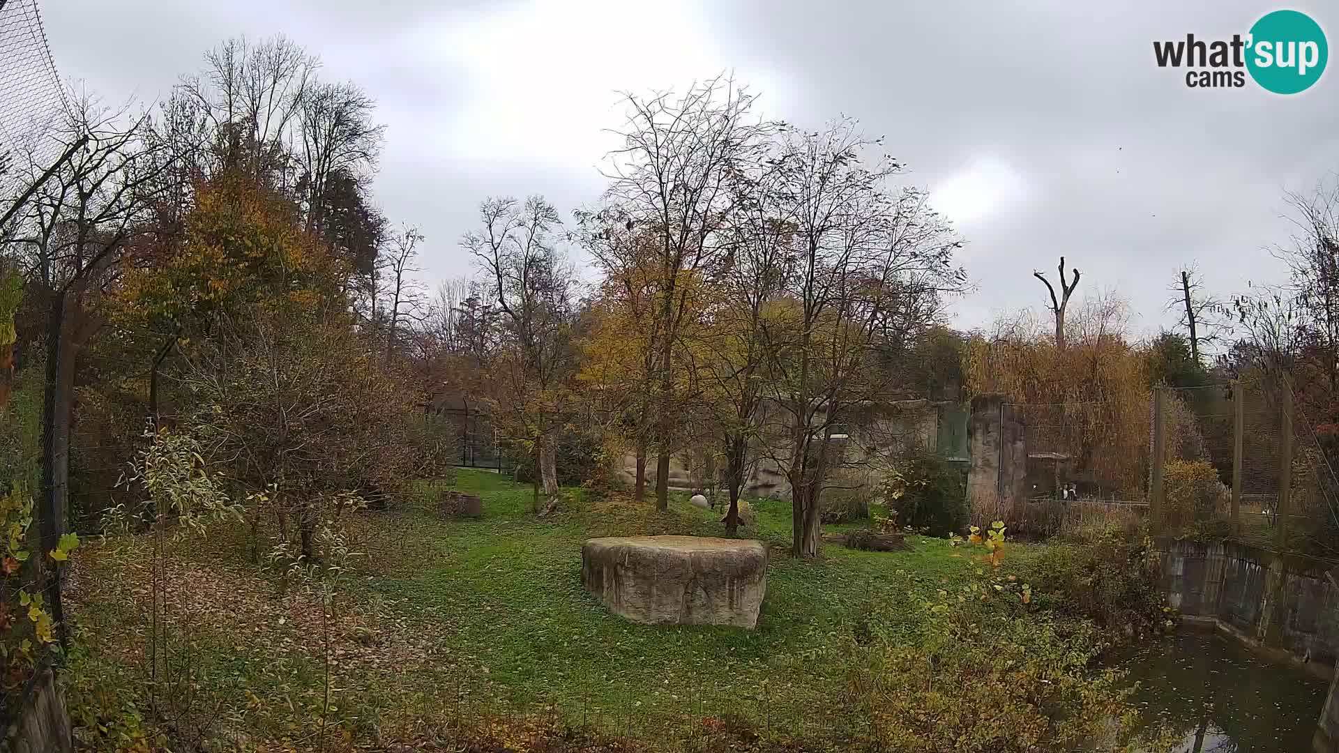 Zoo Zagreb – Löwen
