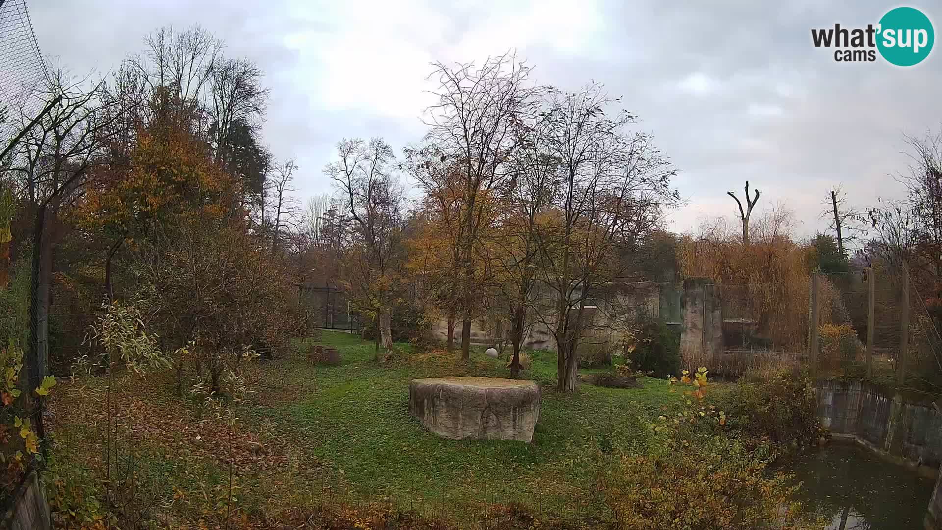 Zoo Zagreb – Leoni