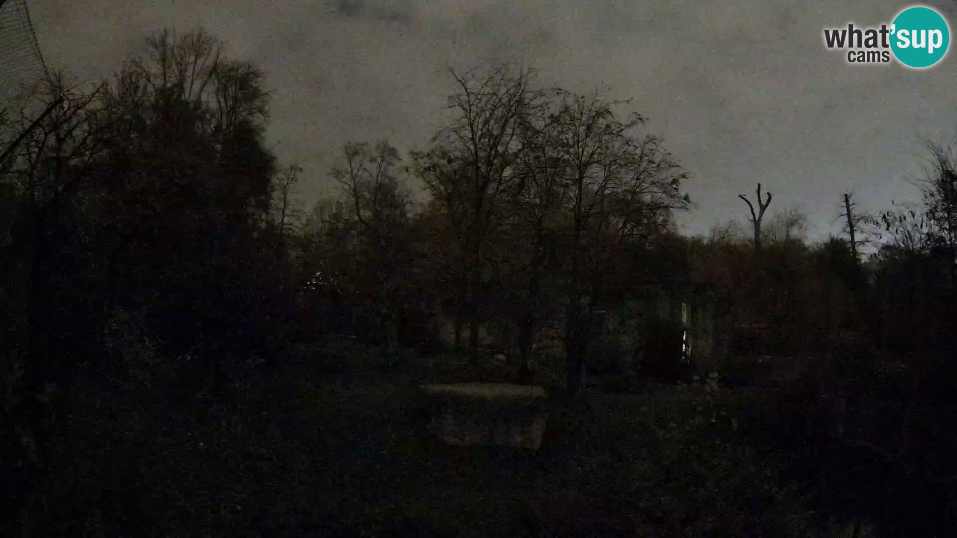 Zoo Zagreb – Löwen