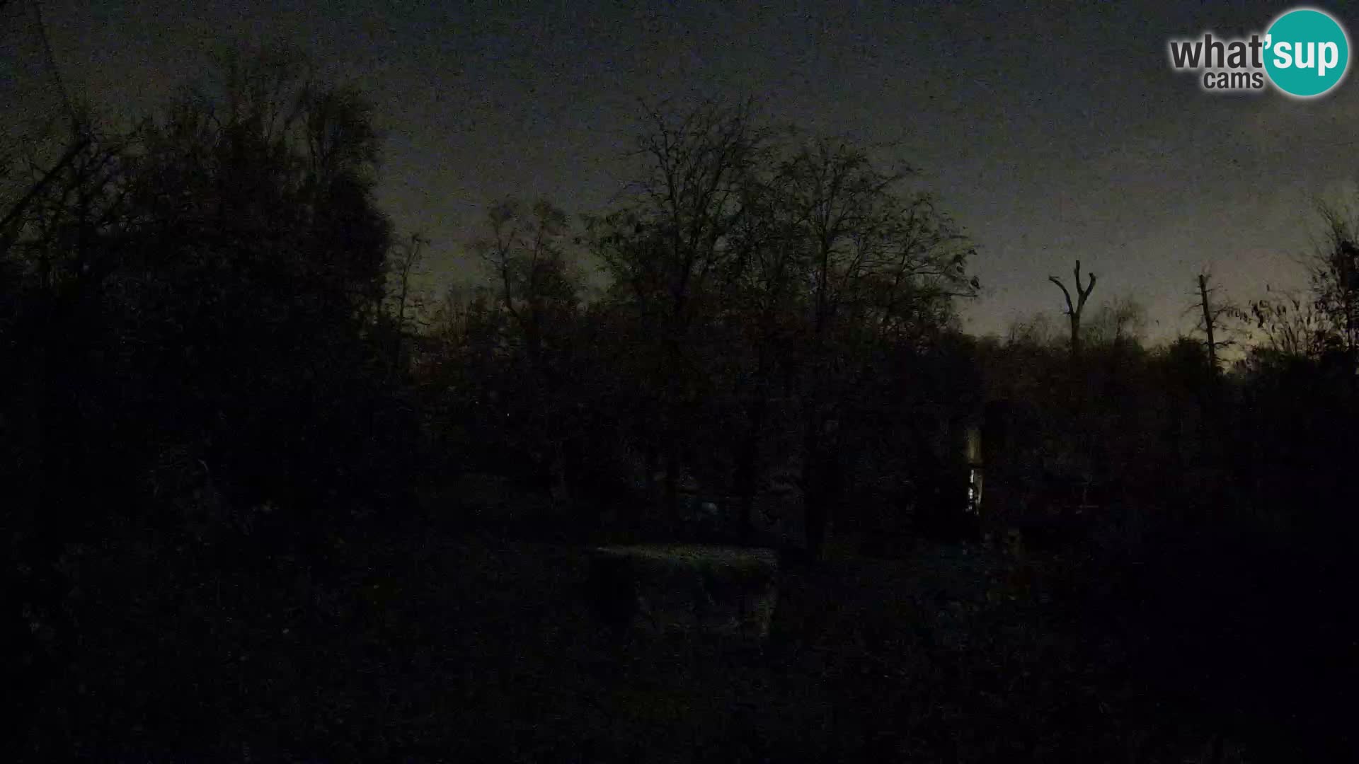 Zoo Zagreb – Lavovi