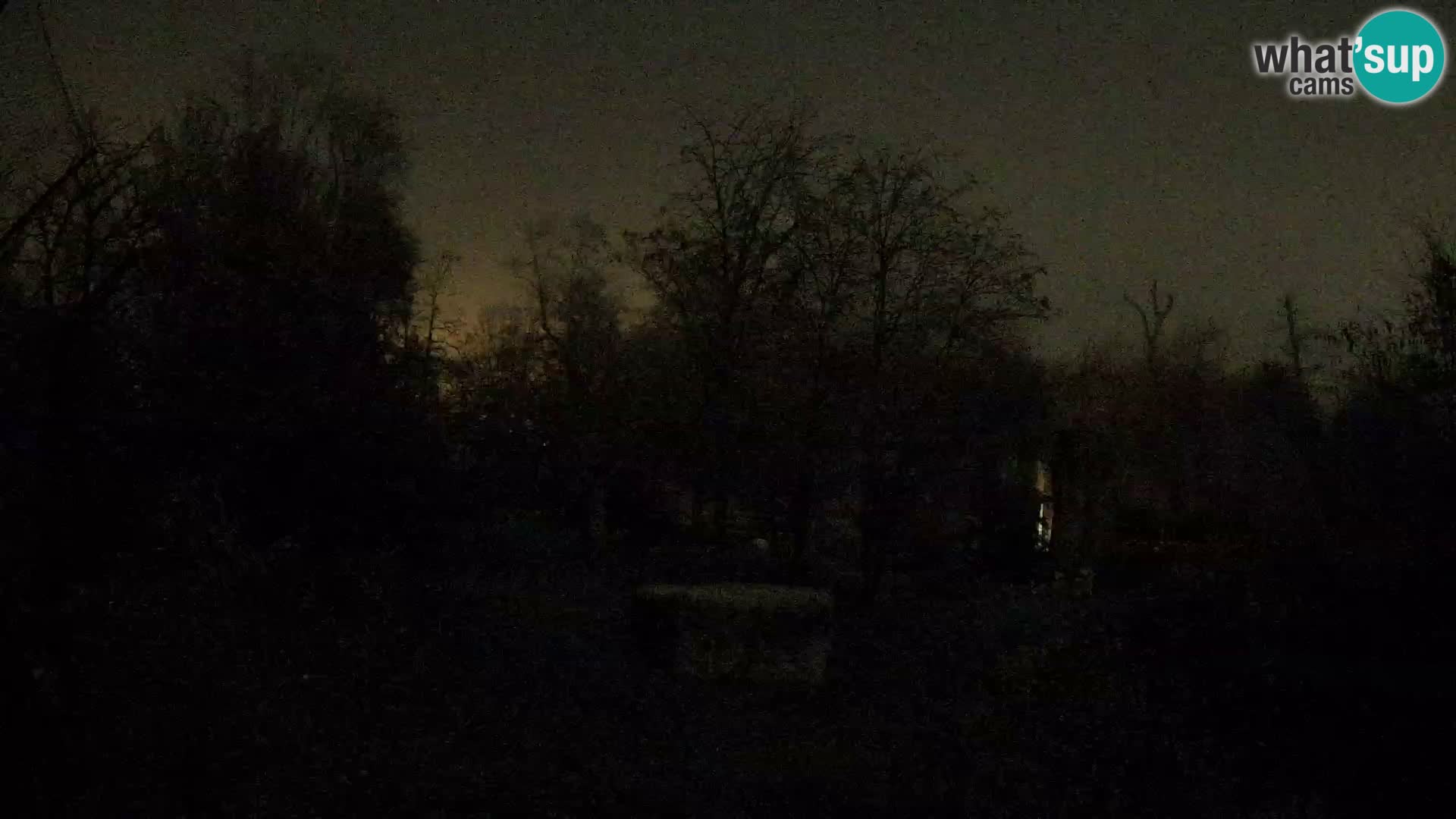 Zoo Zagreb – Löwen