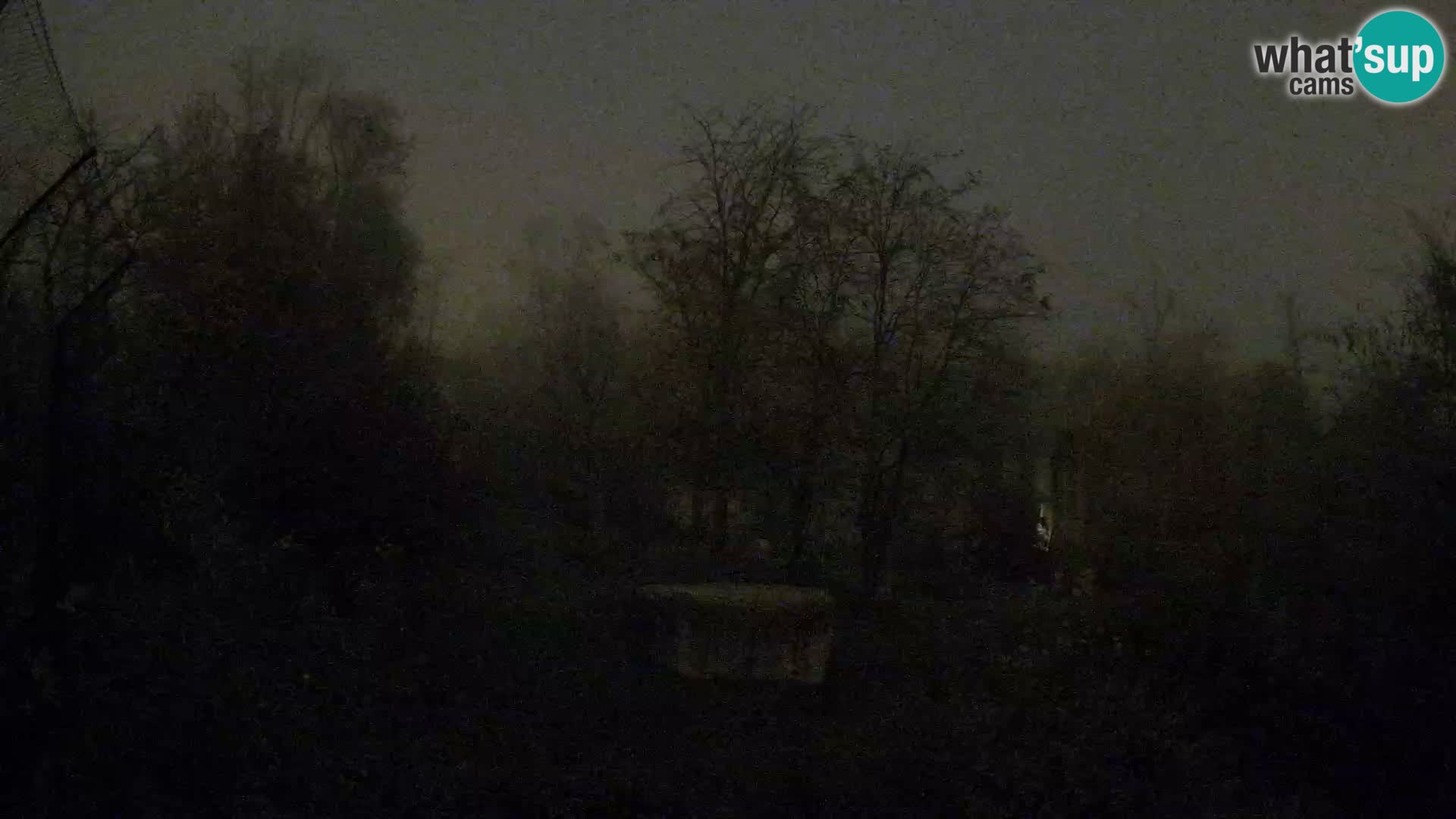 Zoo Zagreb – Löwen