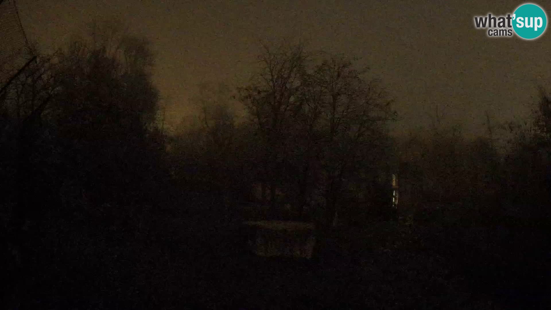 Spletna kamera Zoo Zagreb – Levi