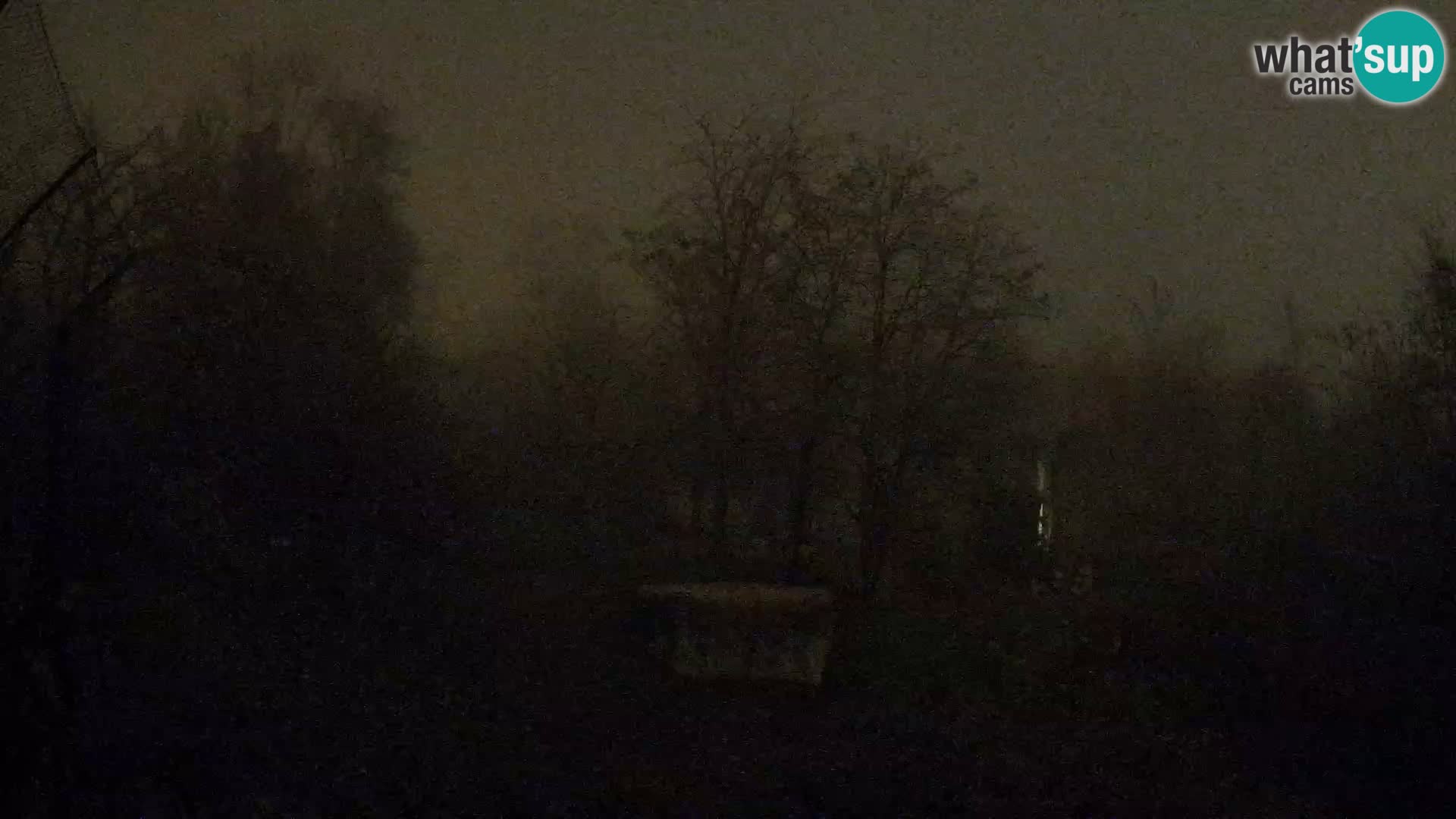 Zoo Zagreb – Löwen