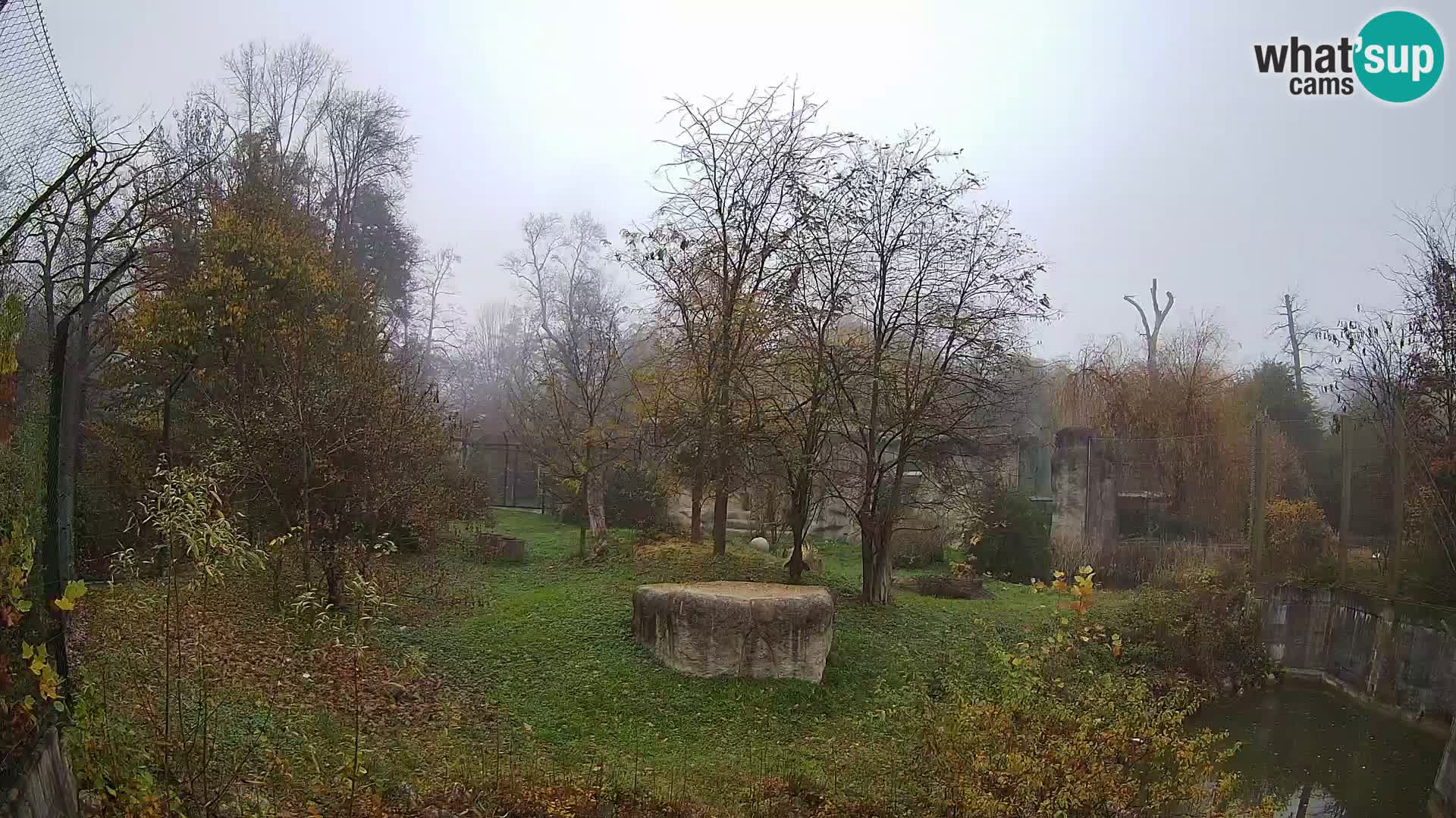 Zoo Zagreb – Löwen