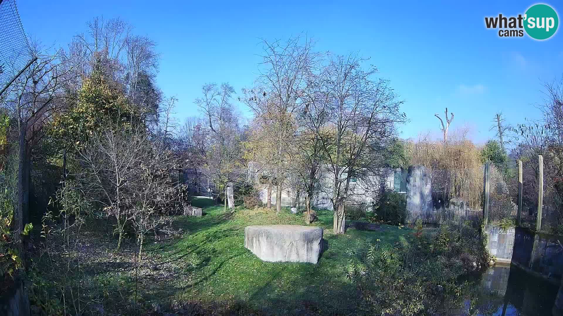Spletna kamera Zoo Zagreb – Levi
