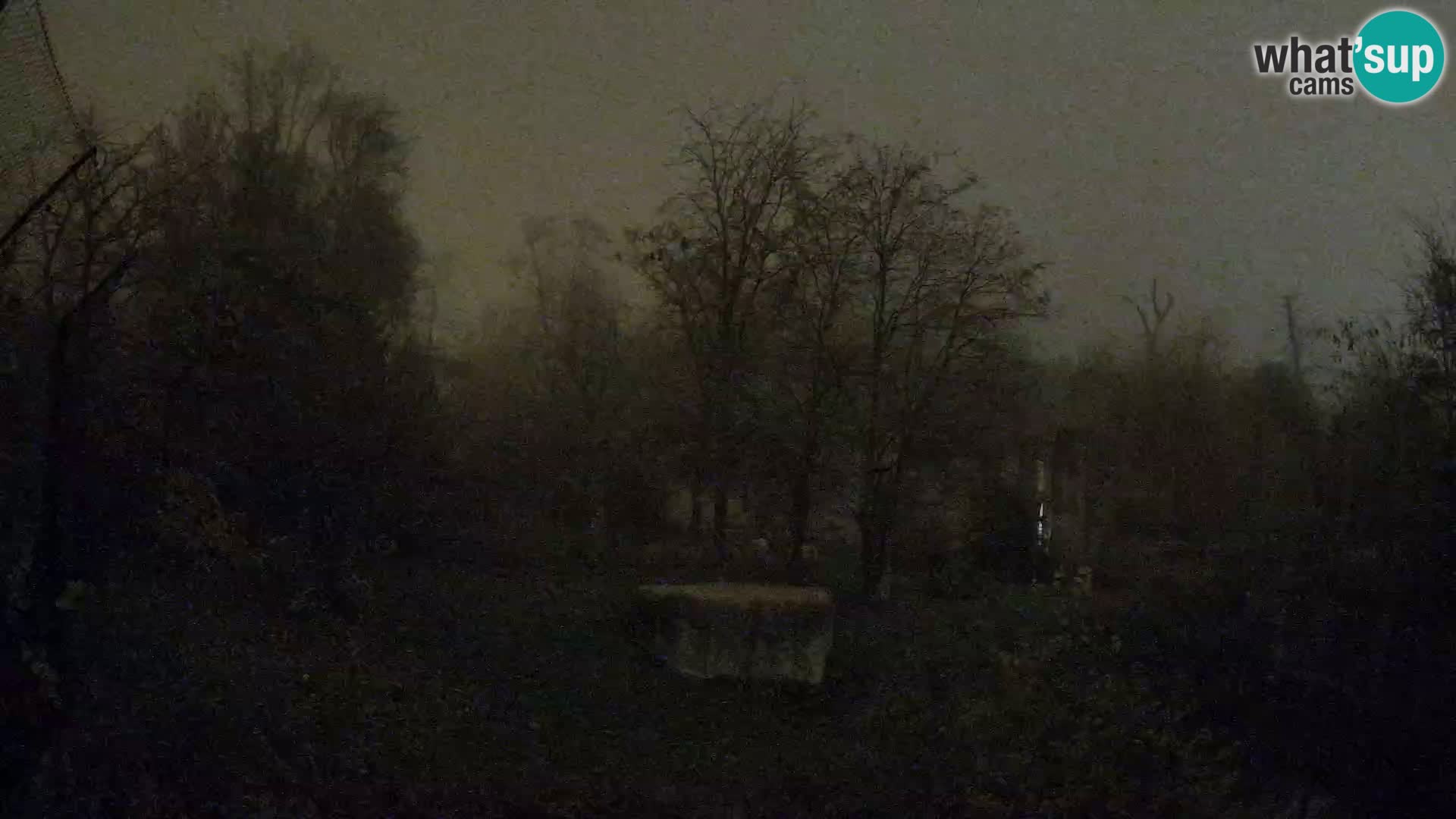 Zoo Zagreb – Lavovi