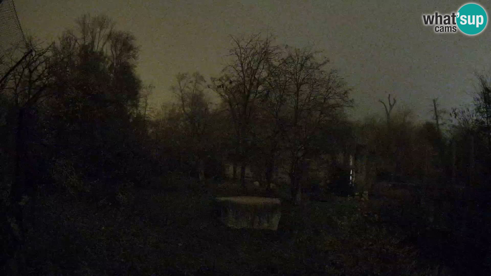 Zoo Zagreb – Leones