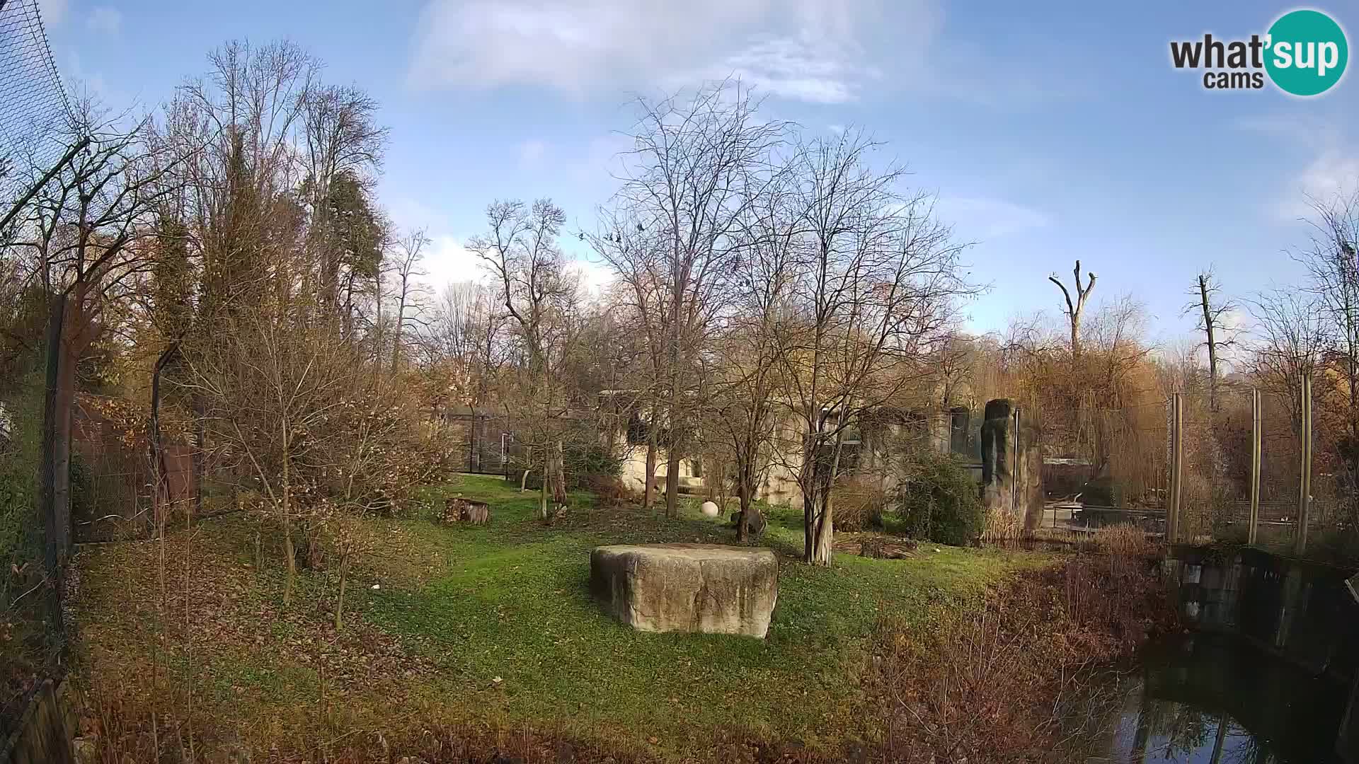 Zoo Zagreb – Leoni