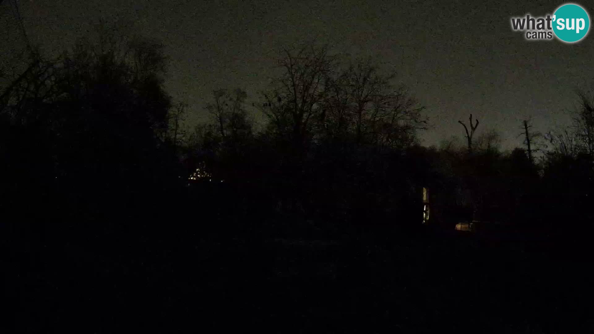 Zoo Zagreb – Lavovi