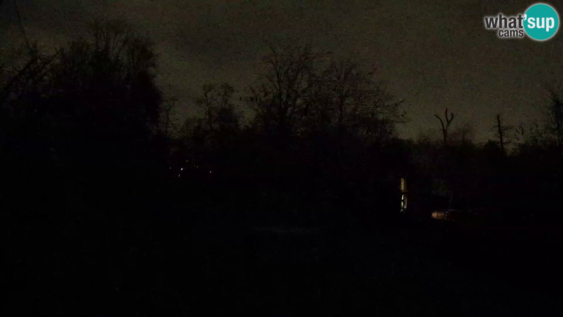 Zoo Zagreb – Löwen