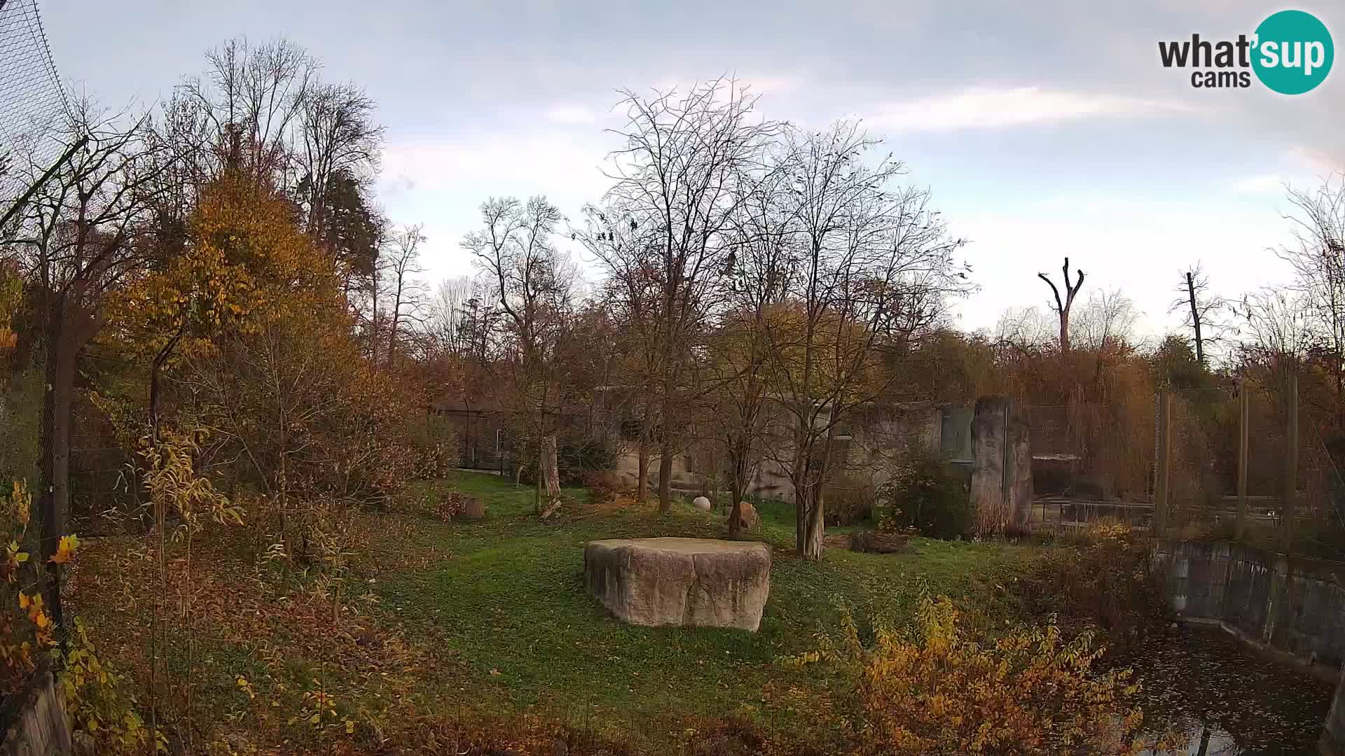 Zoo Zagreb – Löwen