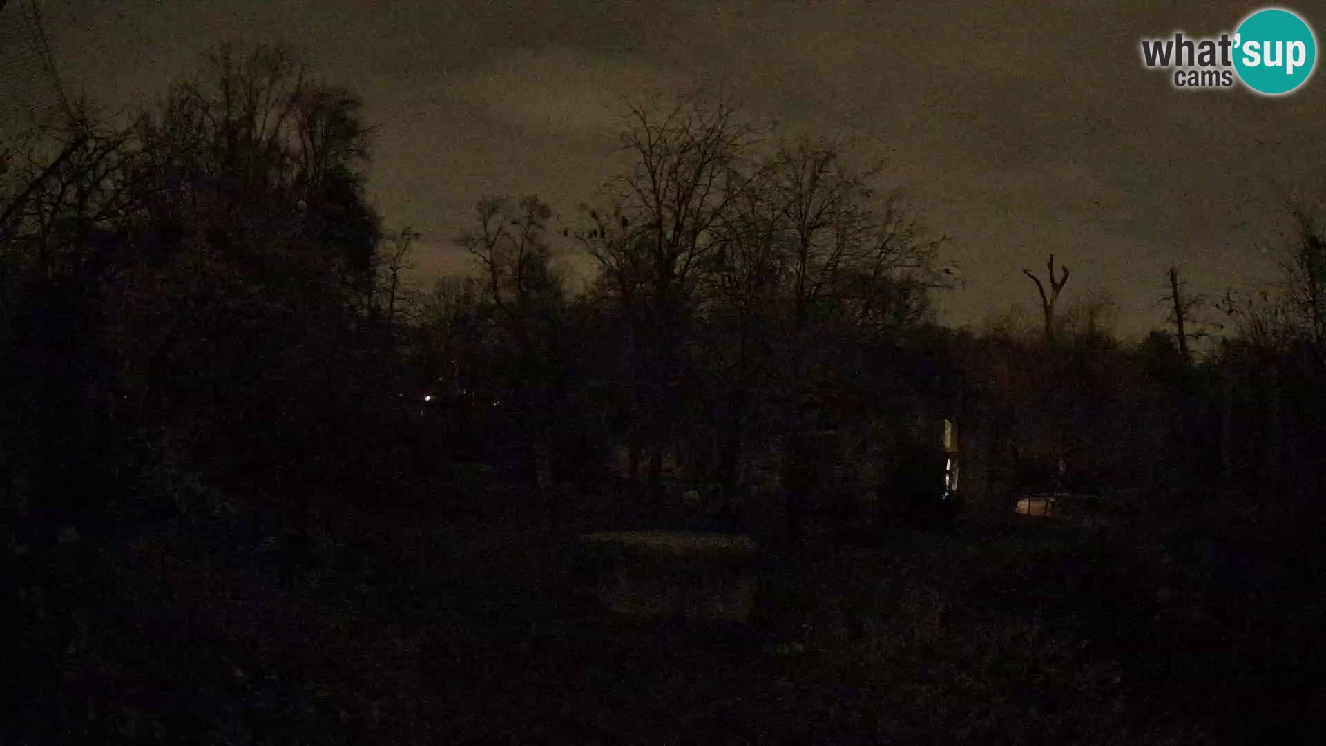 Zoo Zagreb – Löwen