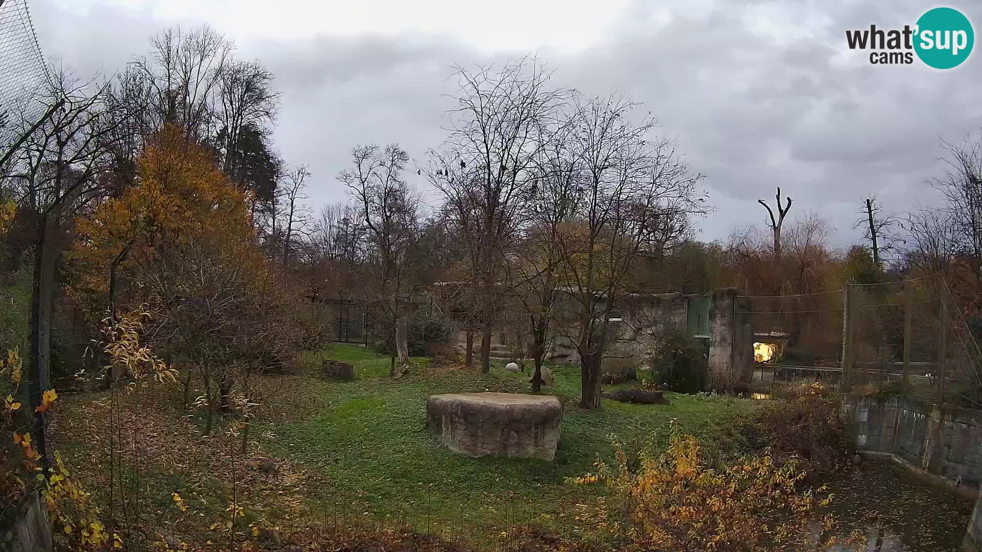 Zoo Zagreb – Leoni