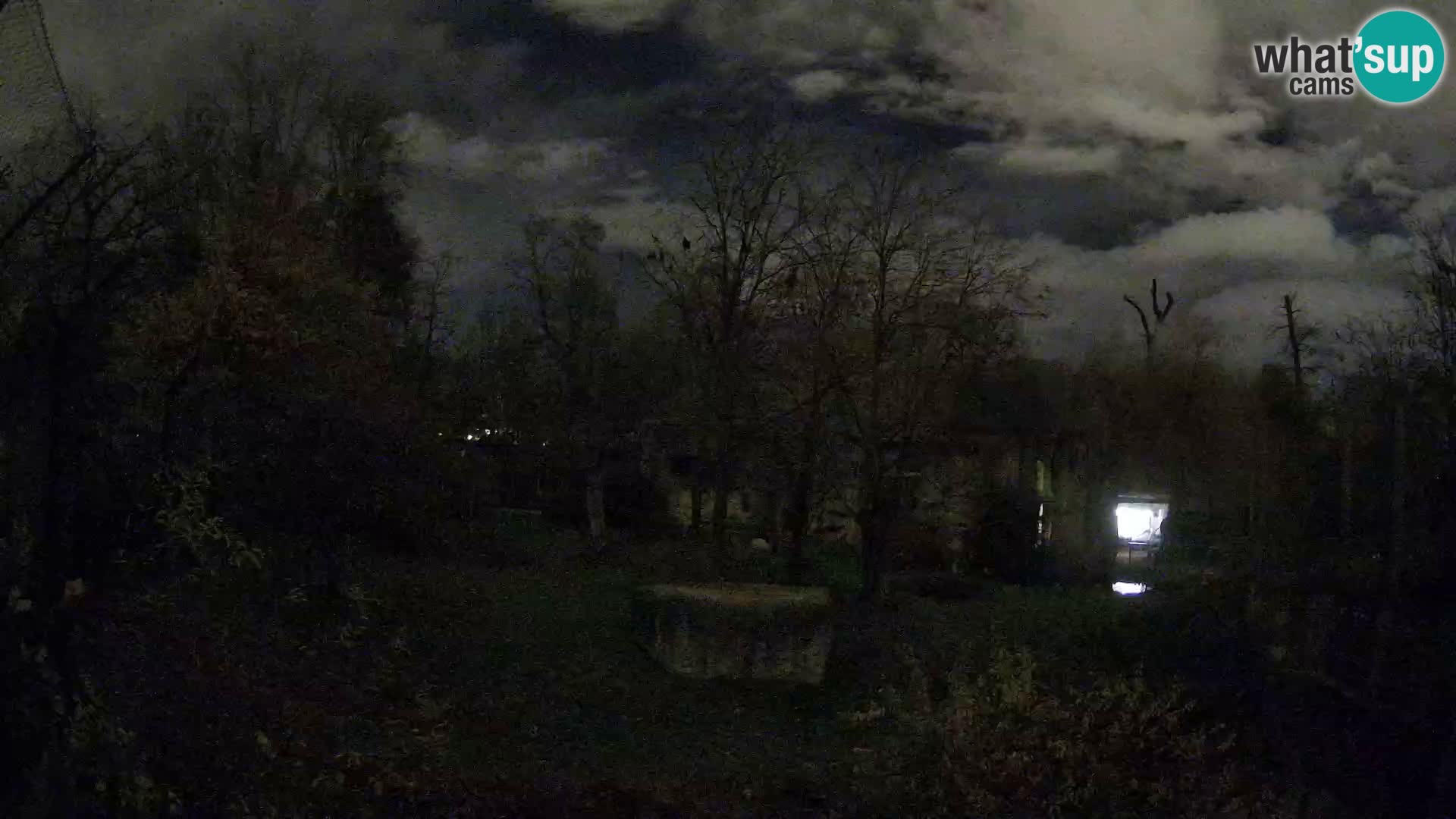 Zoo Zagreb – Leones