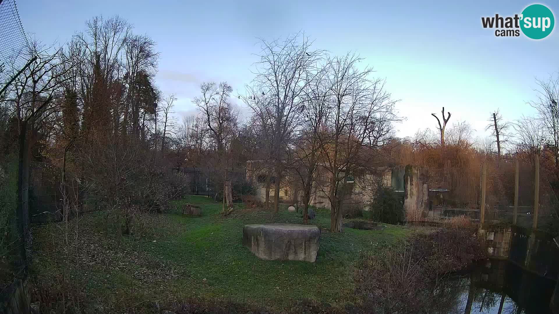 Zoo Zagreb – Lavovi