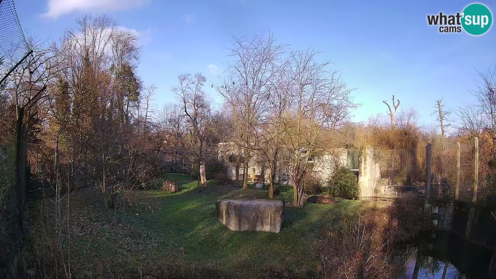 Zoo Zagreb – Leones