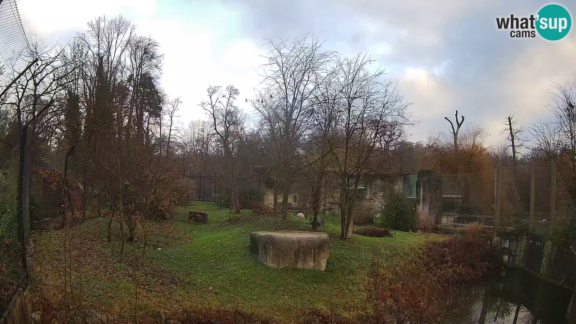 Zoo Zagreb – Lavovi