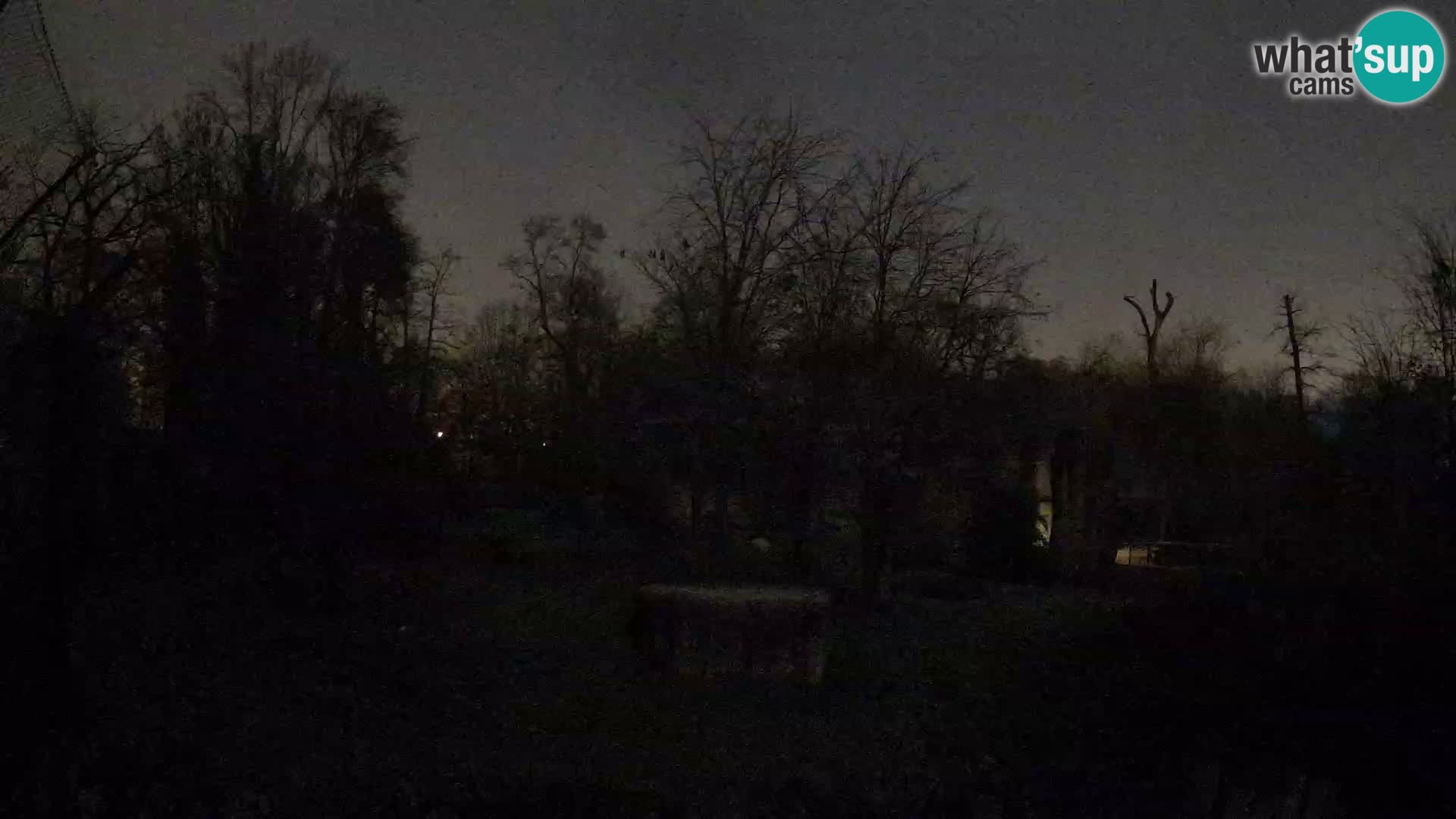 Zoo Zagreb – Lavovi