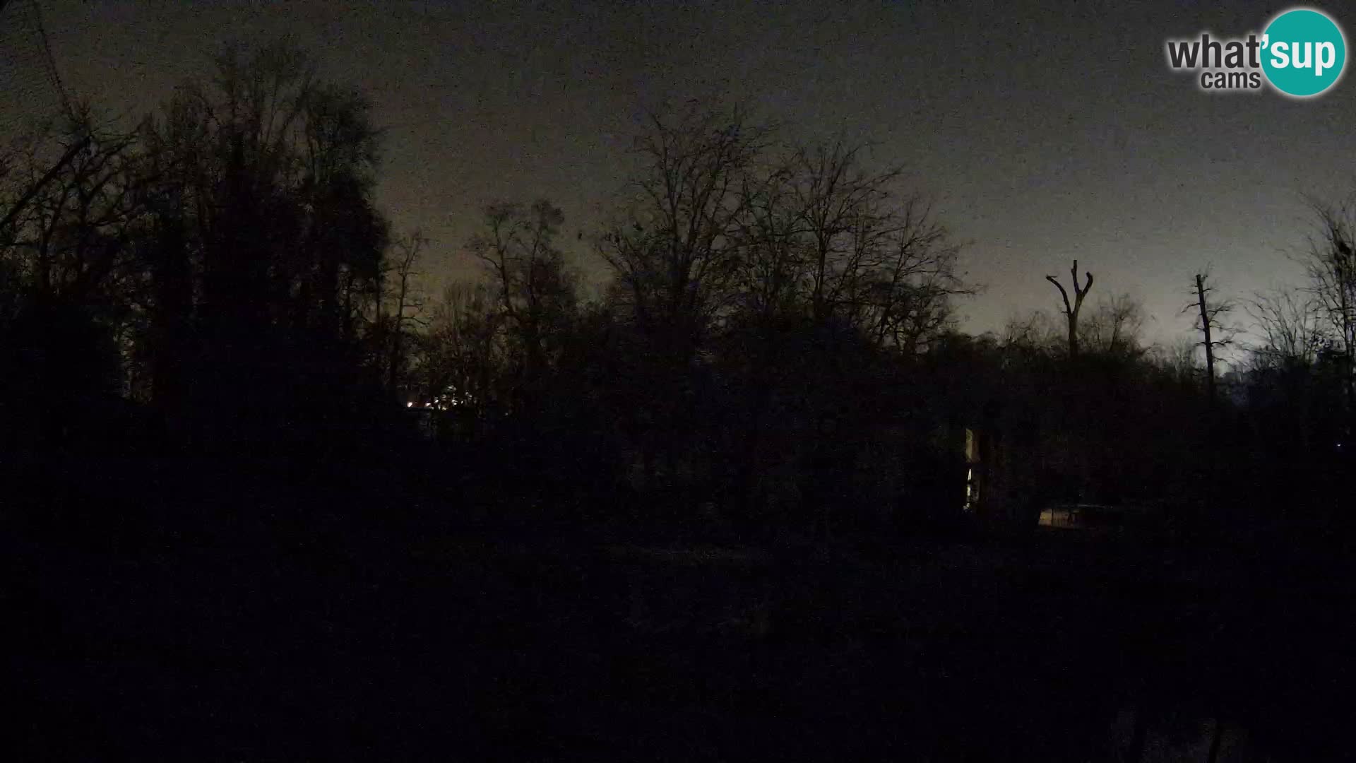 Zoo Zagreb – Leones