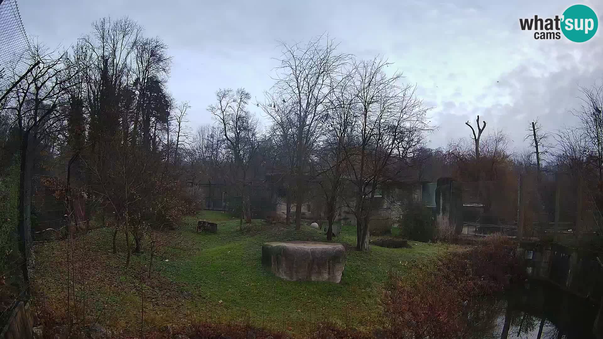 Zoo Zagreb – Leones