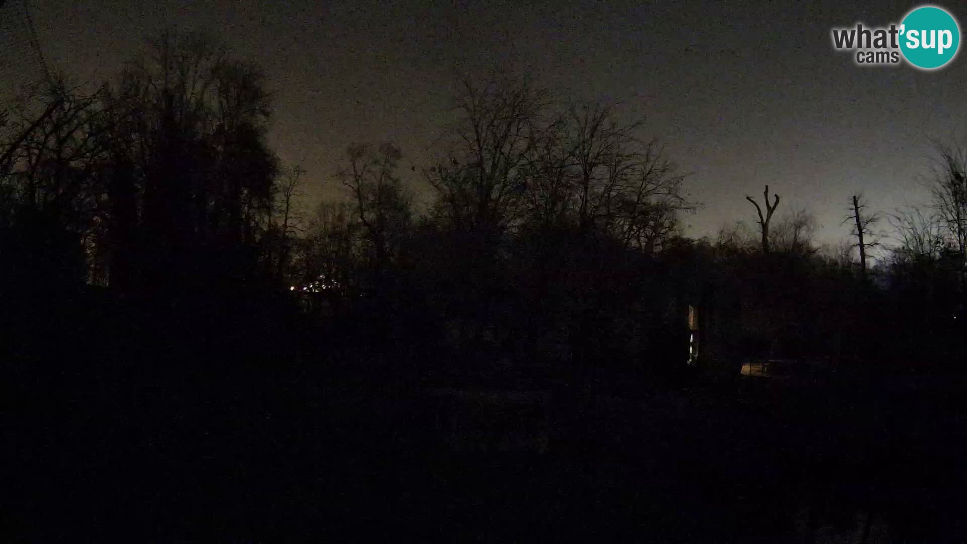 Zoo Zagreb – Leoni