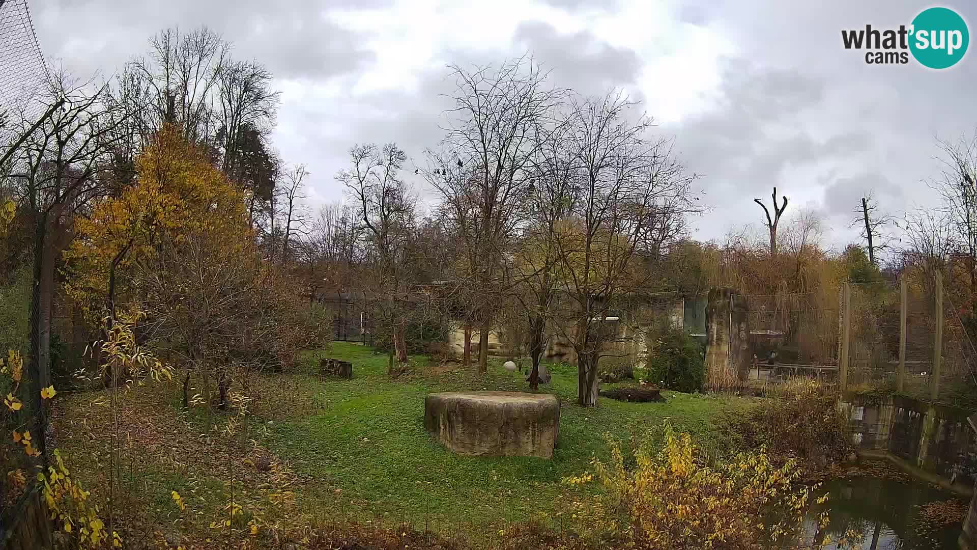 Zoo Zagreb – Leoni