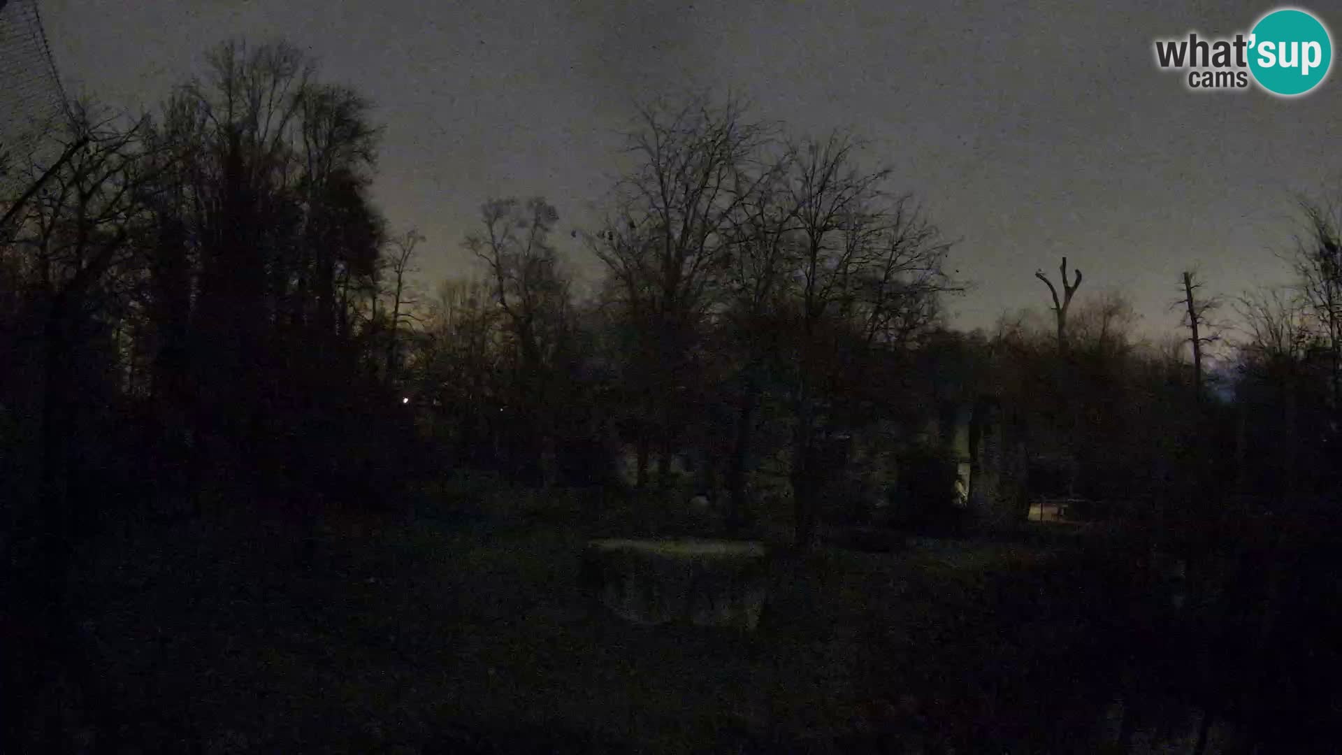 Zoo Zagreb – Leones