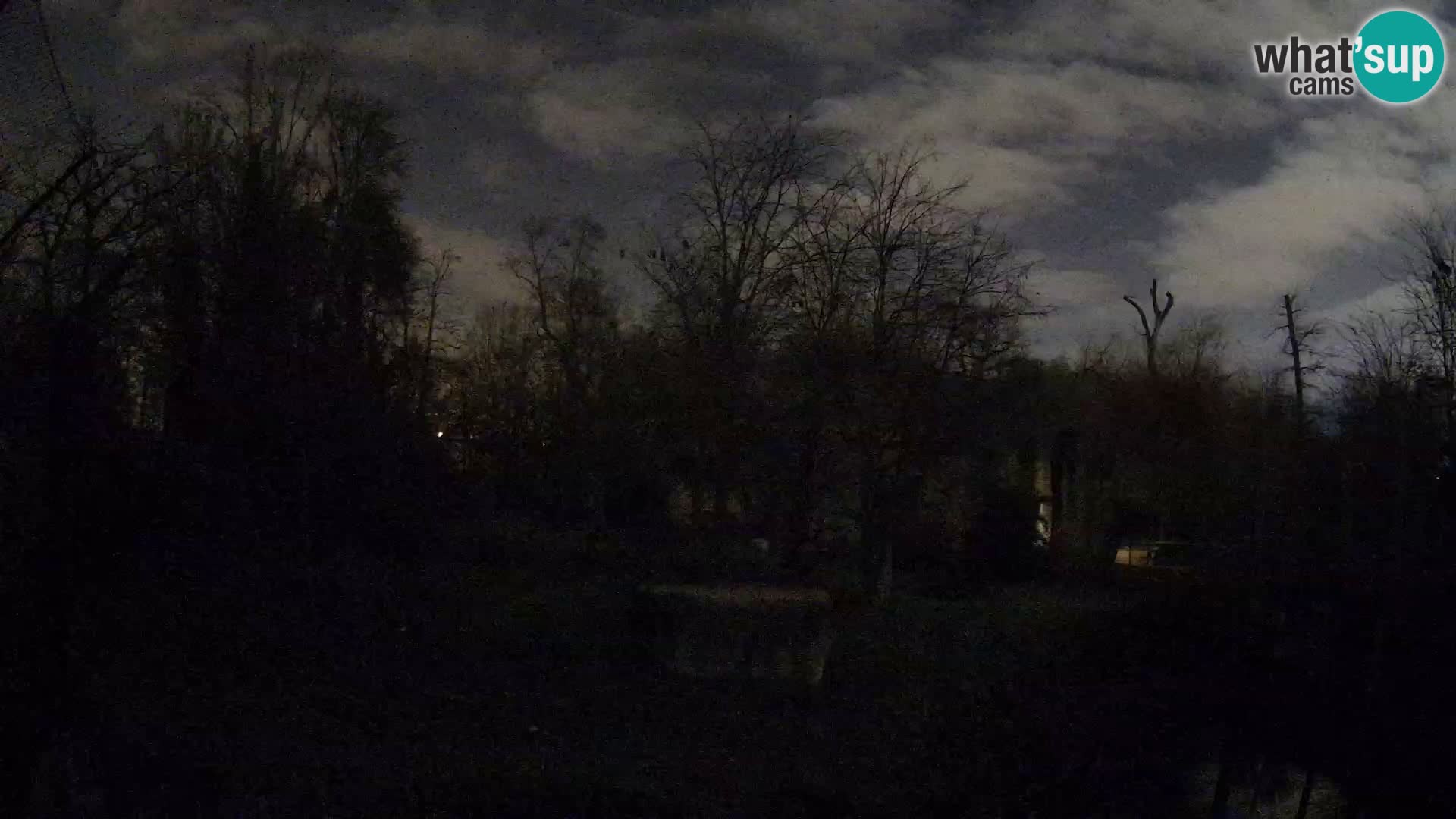 Zoo Zagreb – Leoni