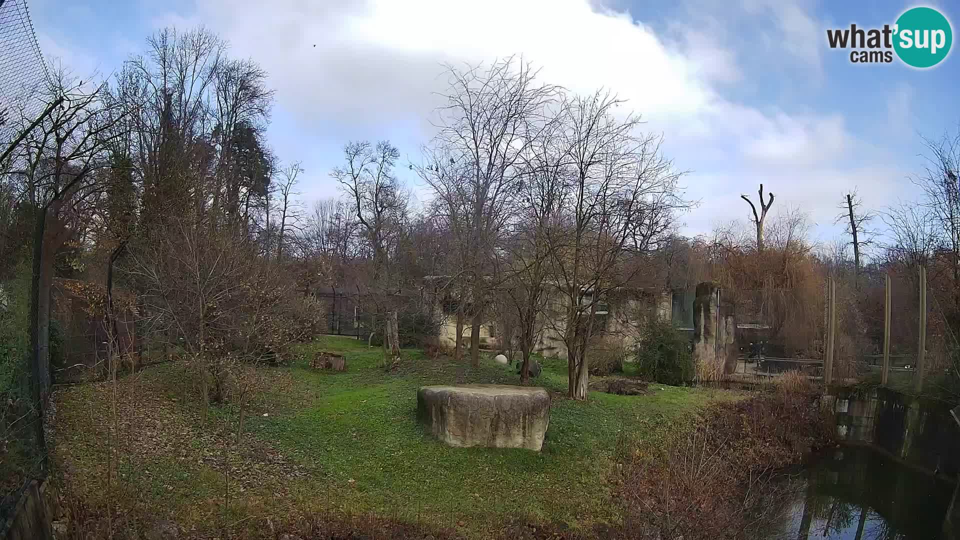 Zoo Zagreb – Lavovi