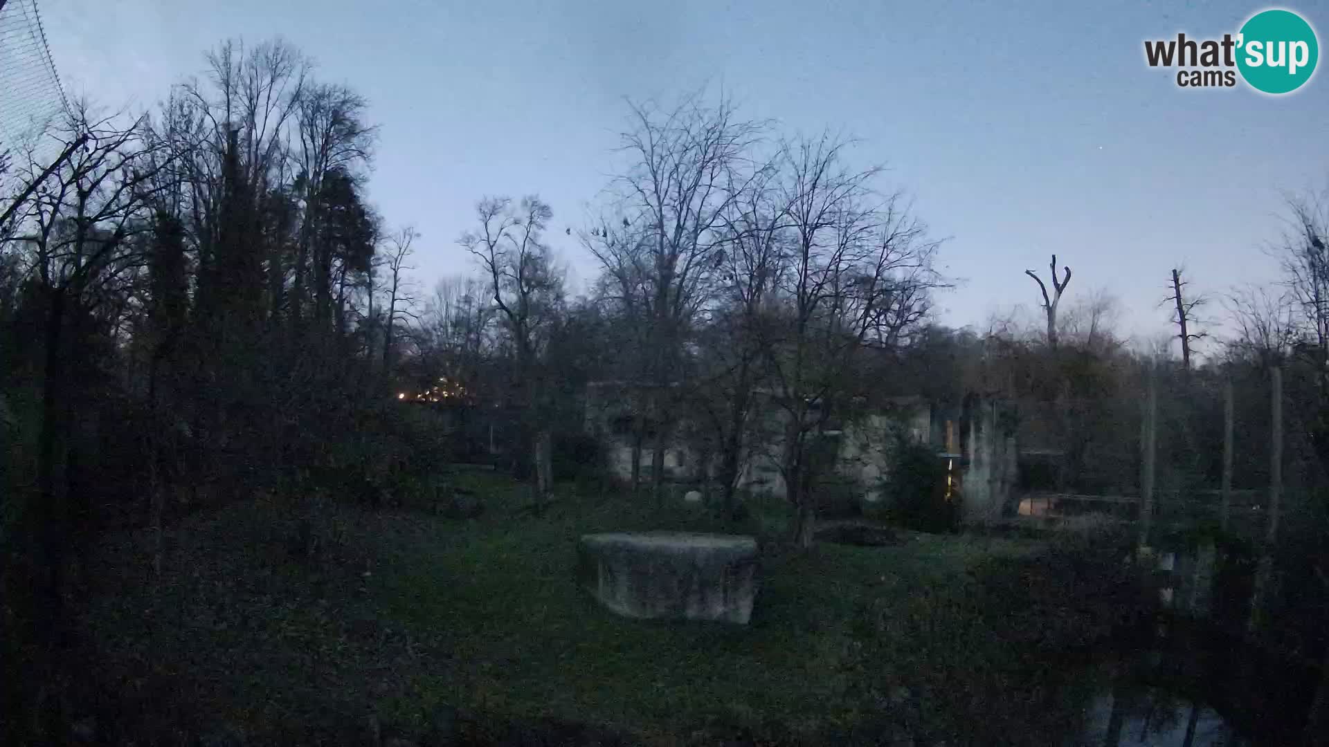 Zoo Zagreb – Leoni