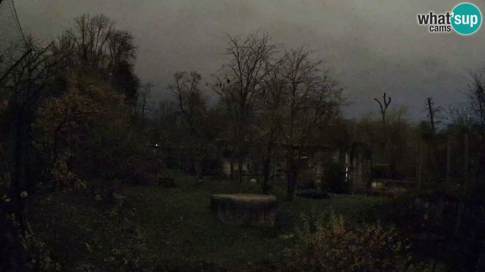 Zoo Zagreb – Leones