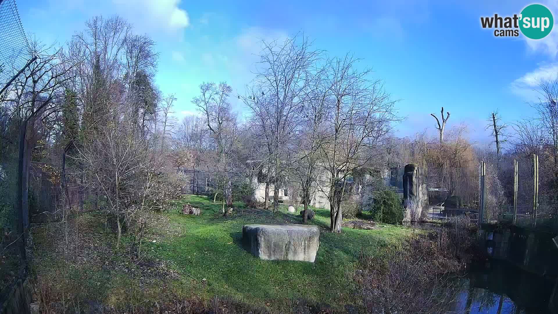 Spletna kamera Zoo Zagreb – Levi