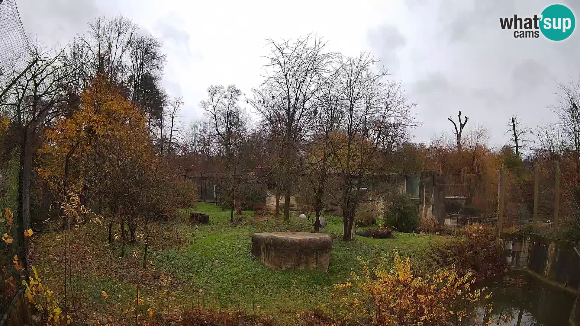 Zoo Zagreb – Leoni