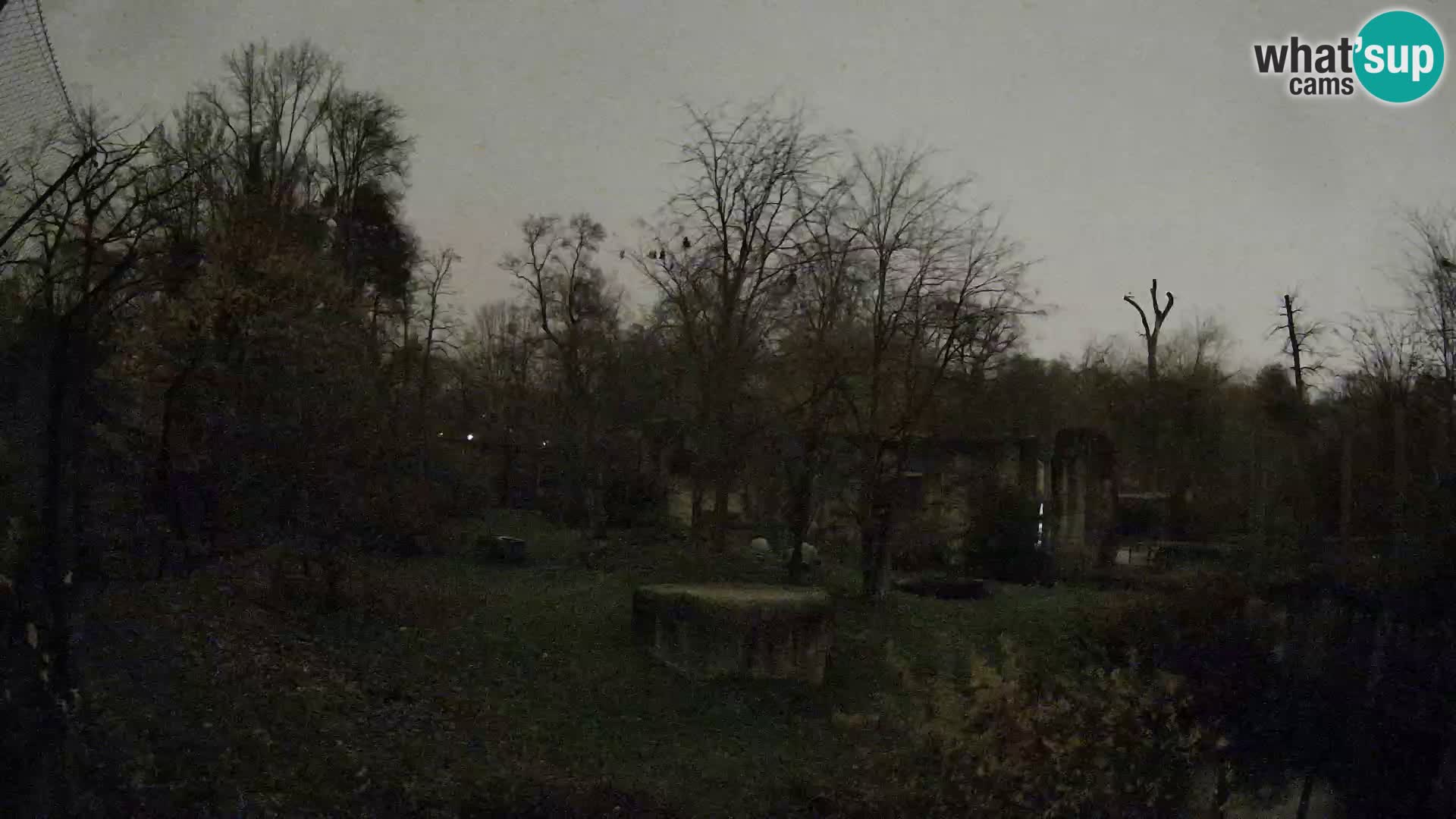 Zoo Zagreb – Leones